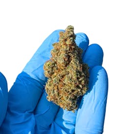 Chernobyl Flower
