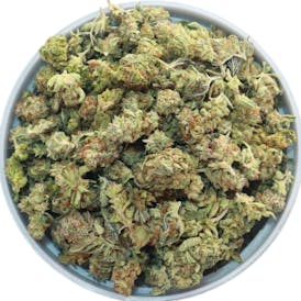 Polar Pop Small Buds (budget)