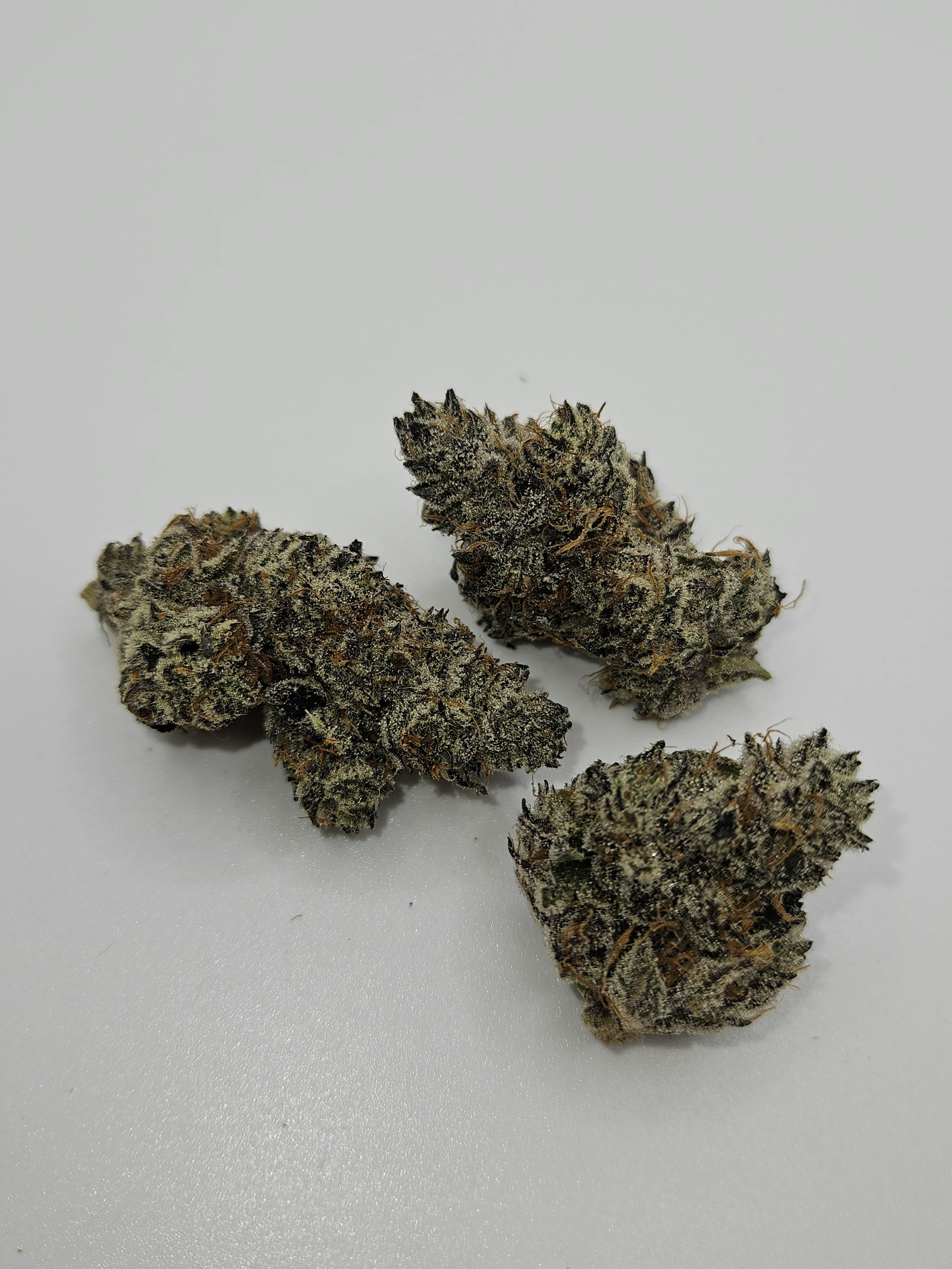 White Truffle