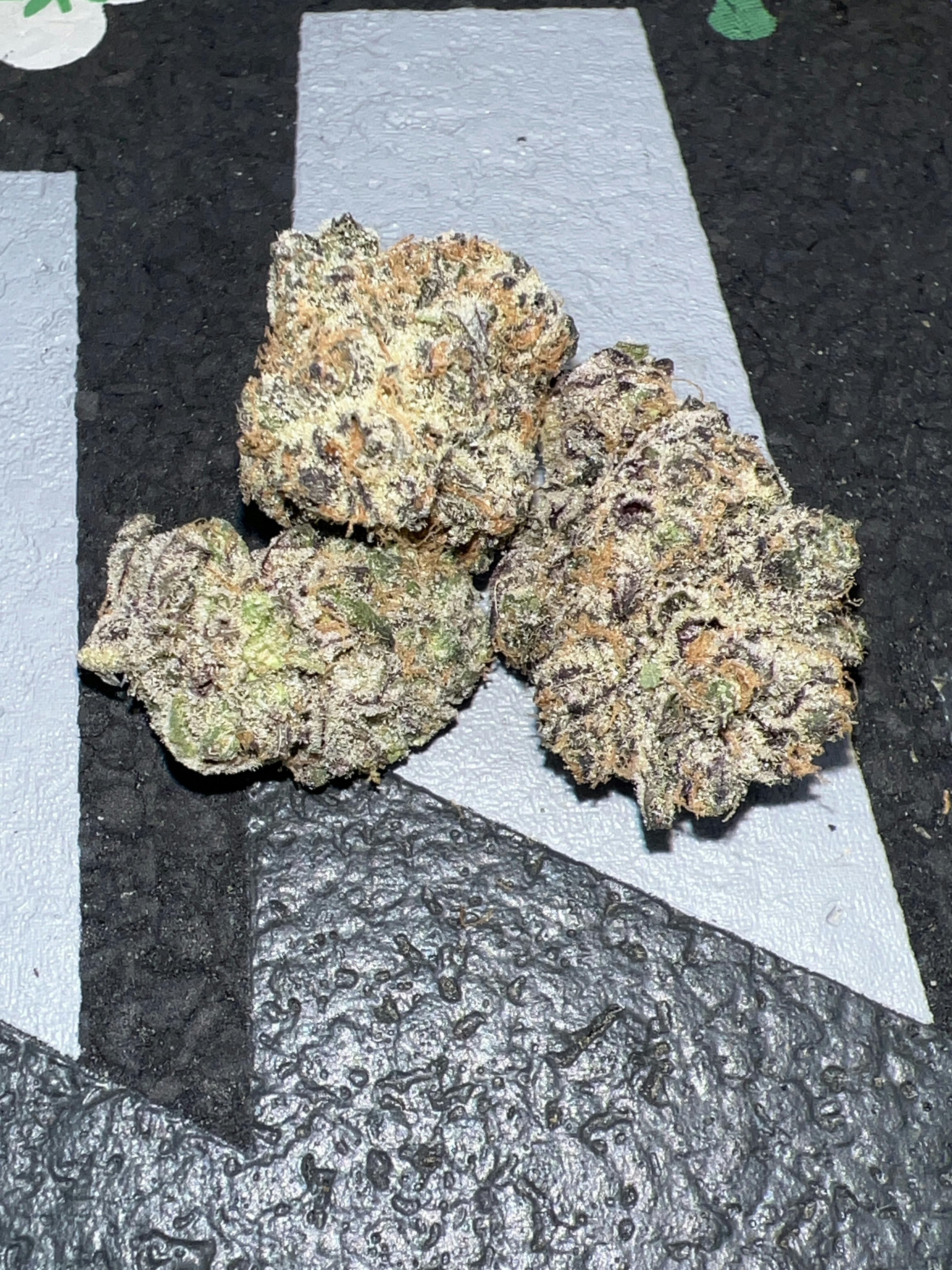 Reign Gardens | Sub Zero