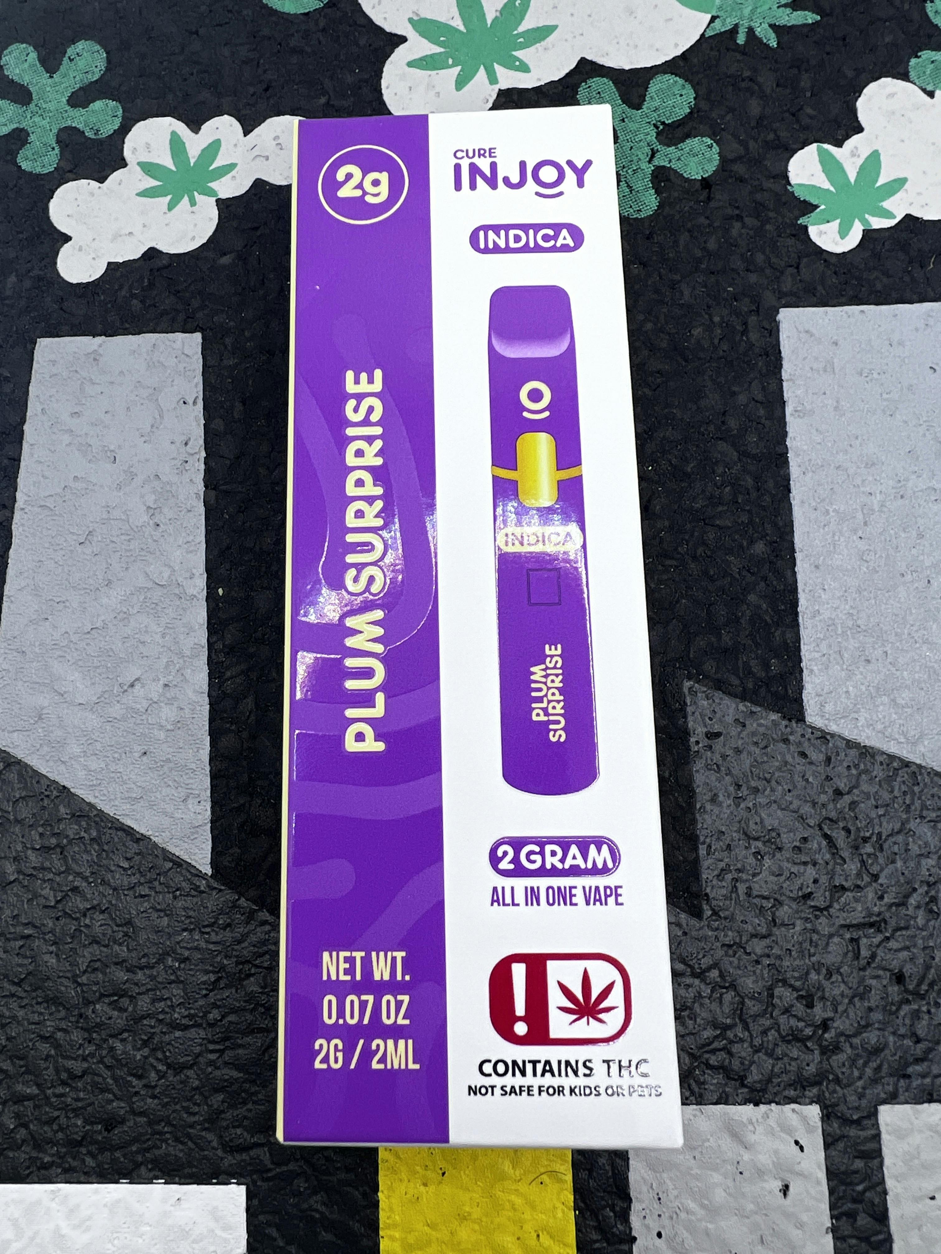 Plum Surprise | Disposable | 2g