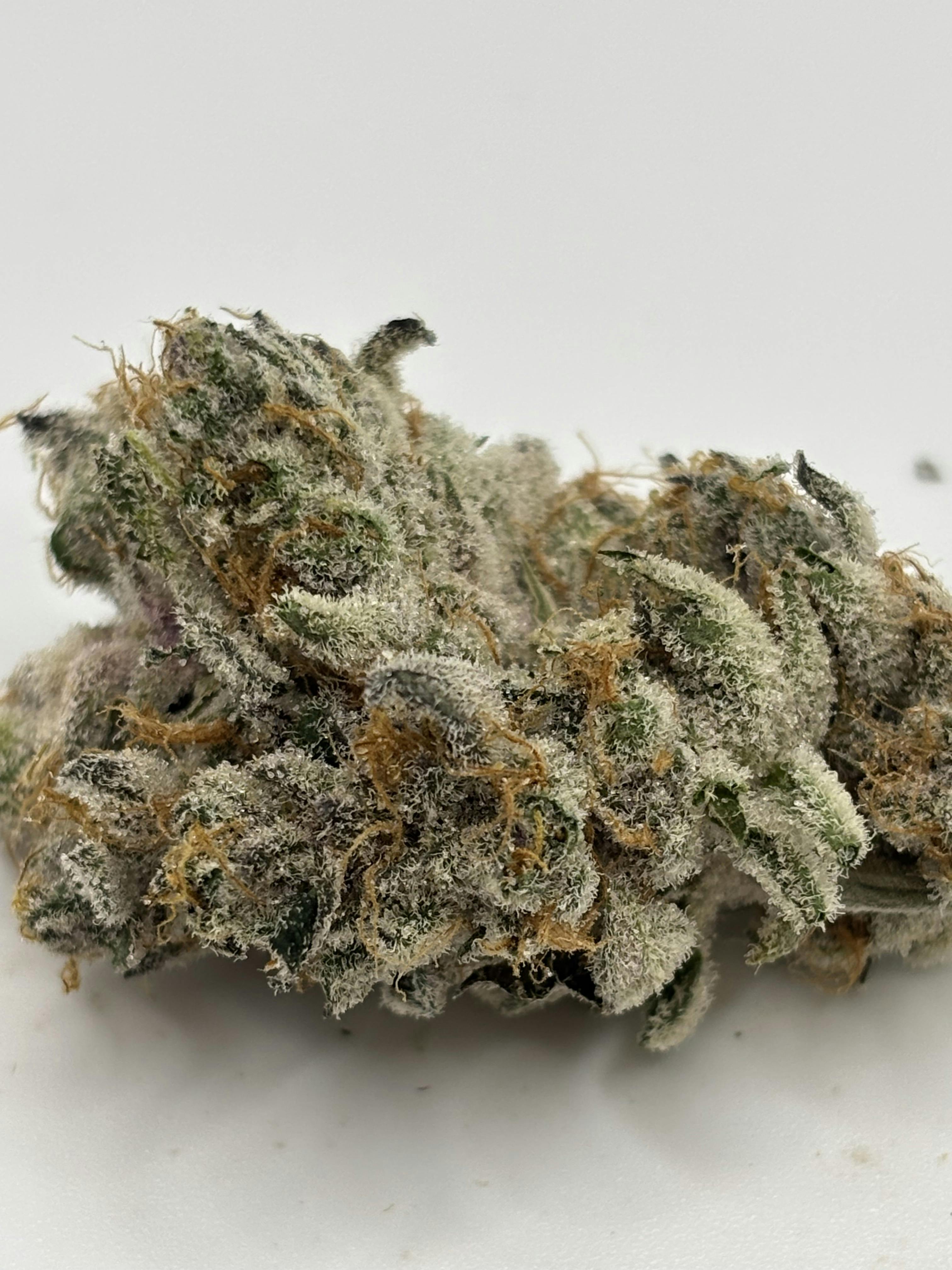 Blockberry | 3.5g Prepack