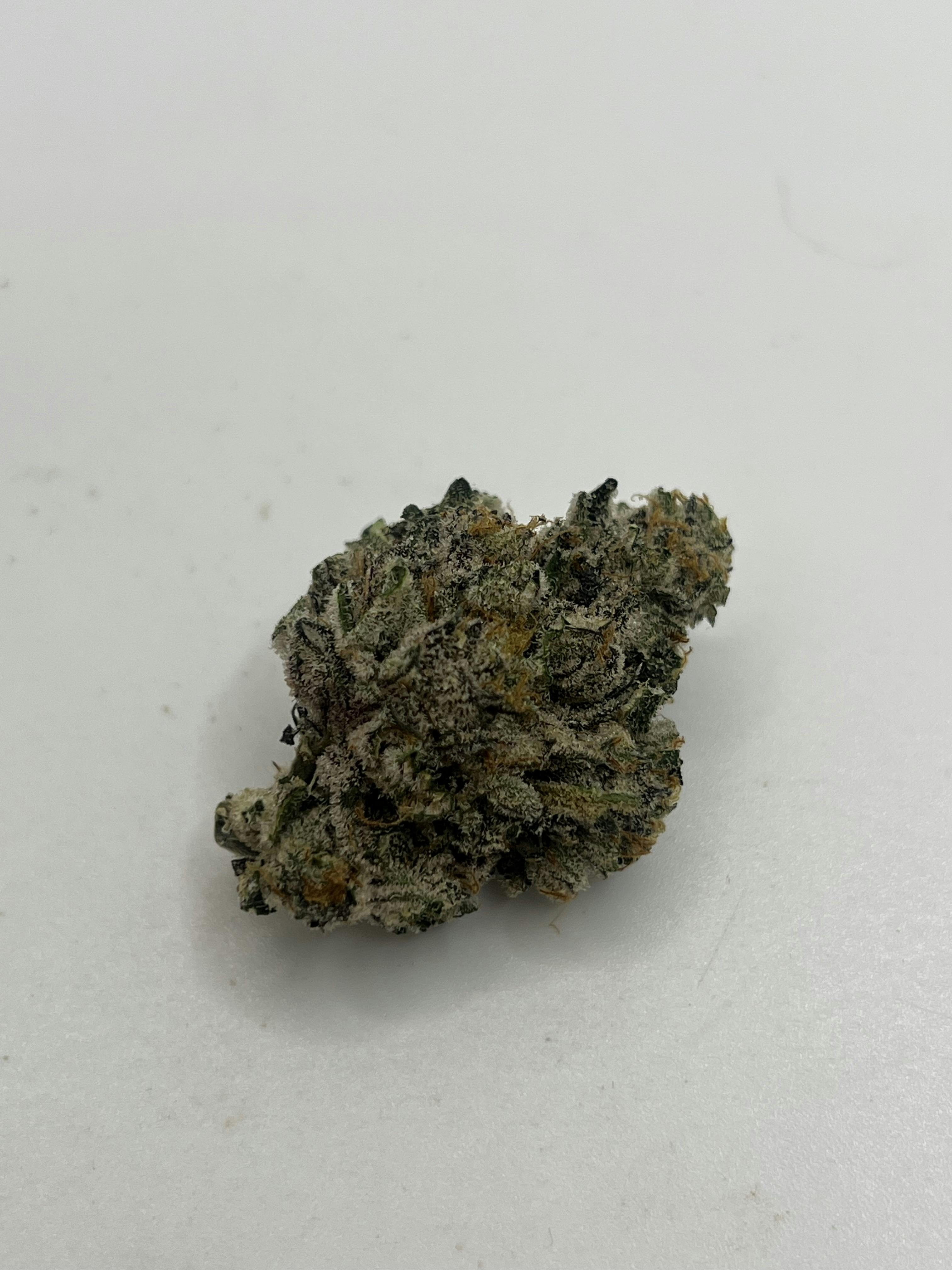 Demi Gelato