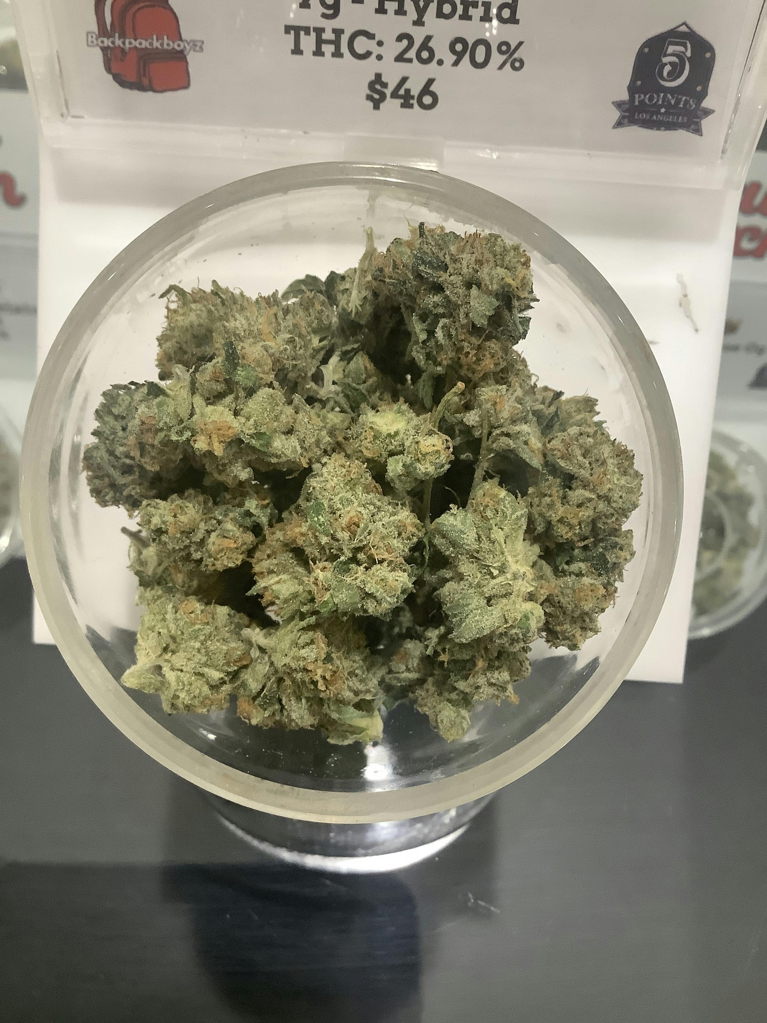 Skittles 7g | CannaKings