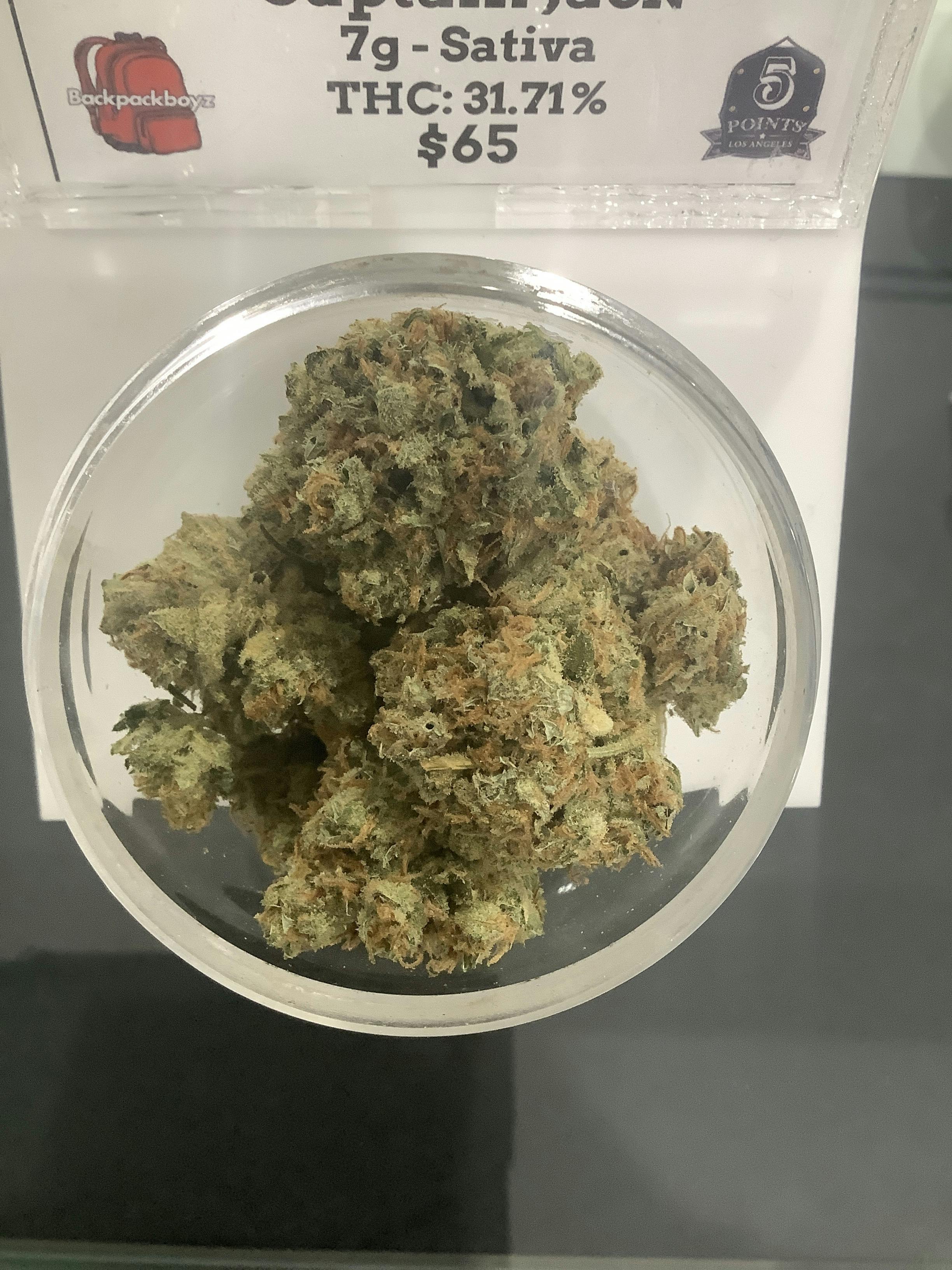 Captain Jack 7g | Top Treez
