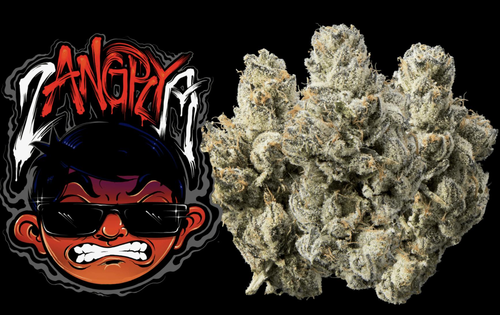 Zangrya | Buds | 3.5g