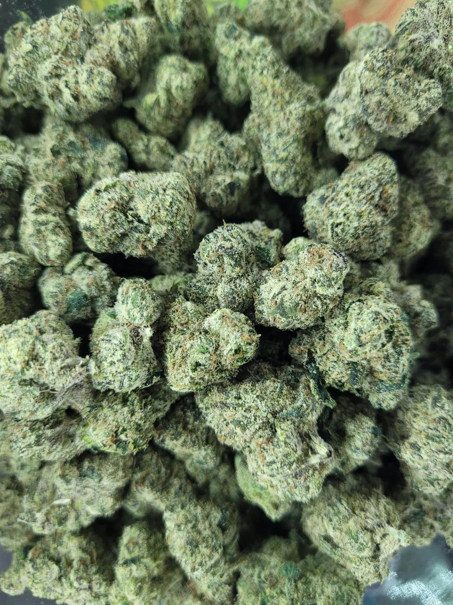 High Society *1/2 OZ SALE ~ MIX & MATCH 2 FOR $100*