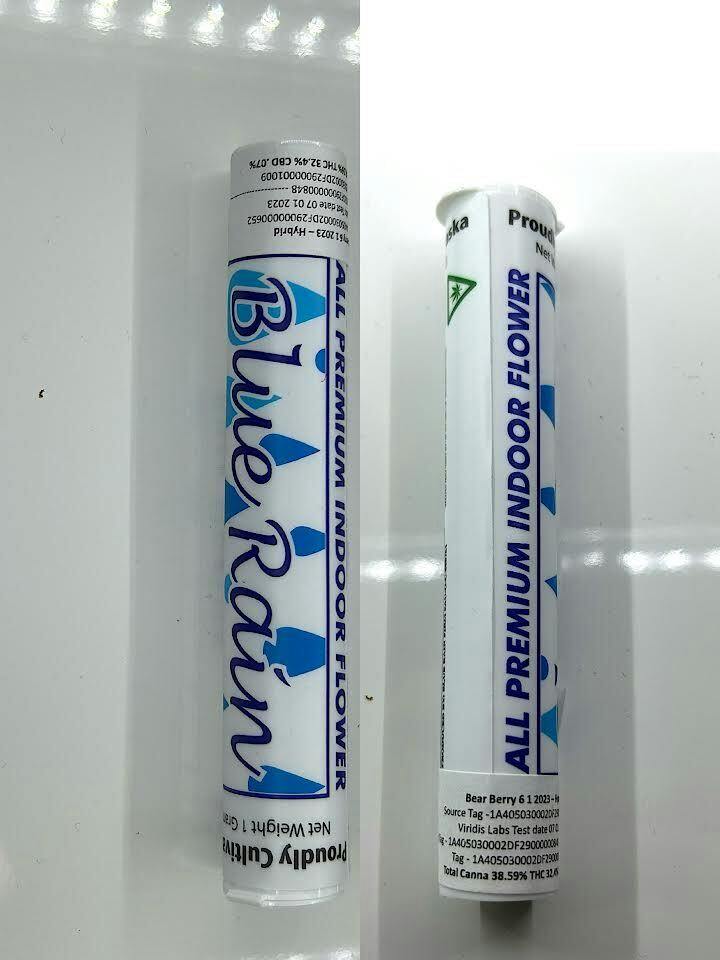 Blue Rain PR- Bear Berry