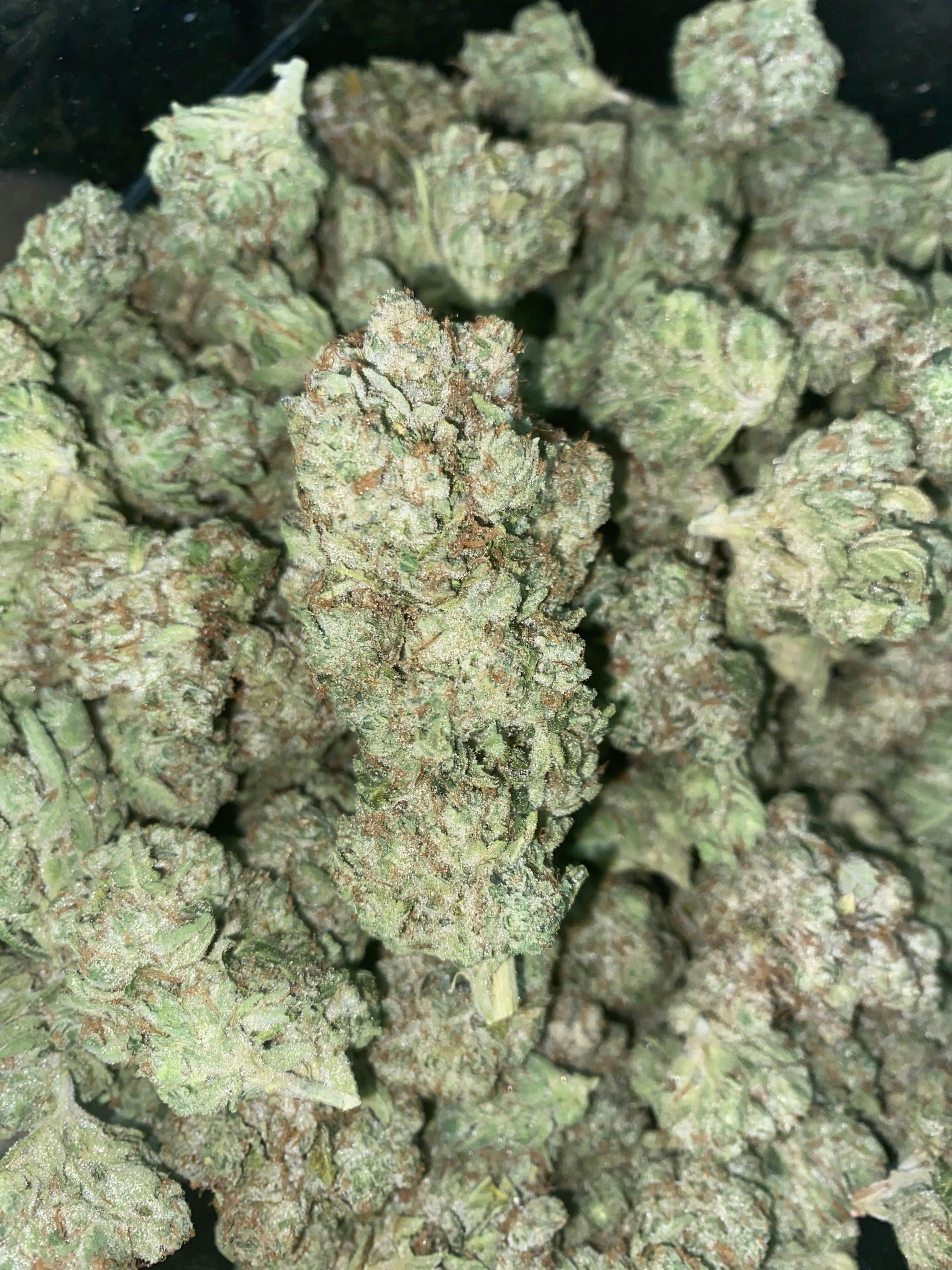Chem Dela Chem | Buds | 1g