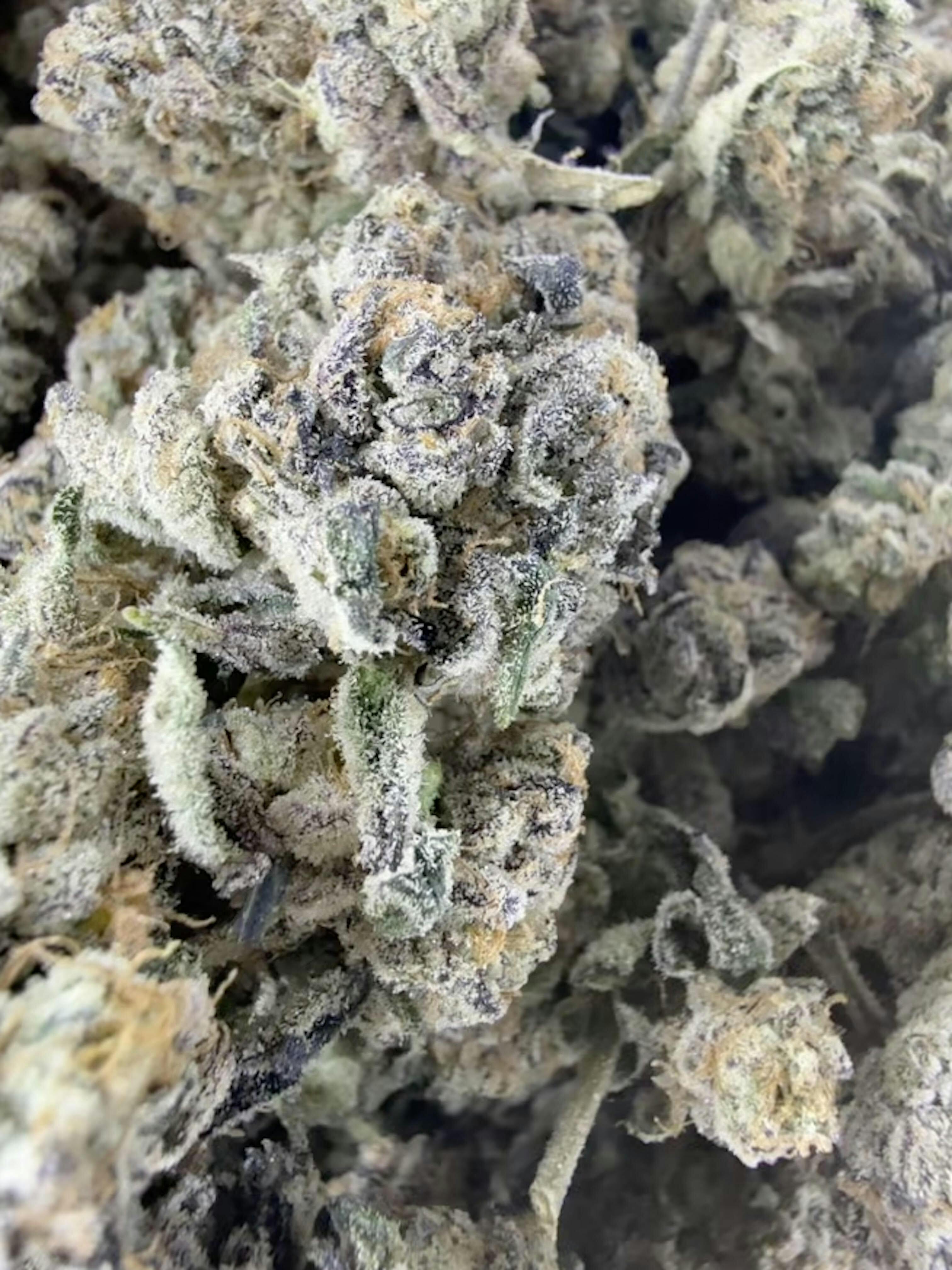 LA Pop Rocks *5% Terps* Quarter Sale *