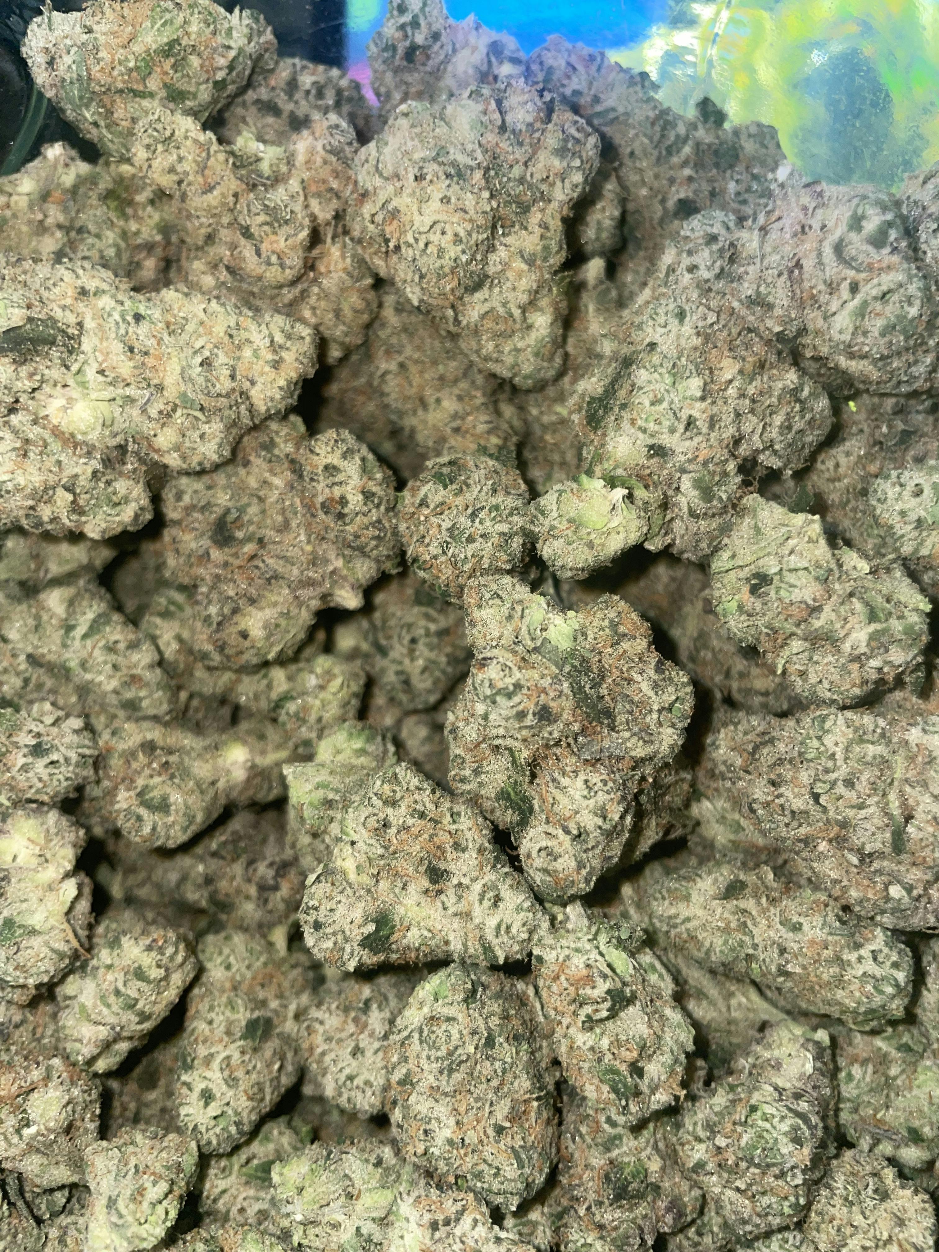 Mule Fuel