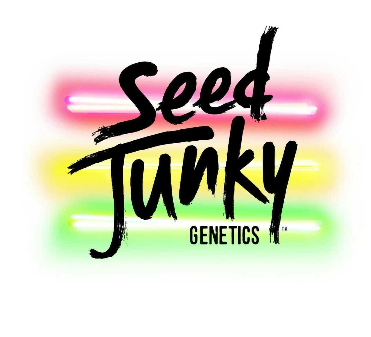 Bonfire | Joint | 1g by Seed Junky