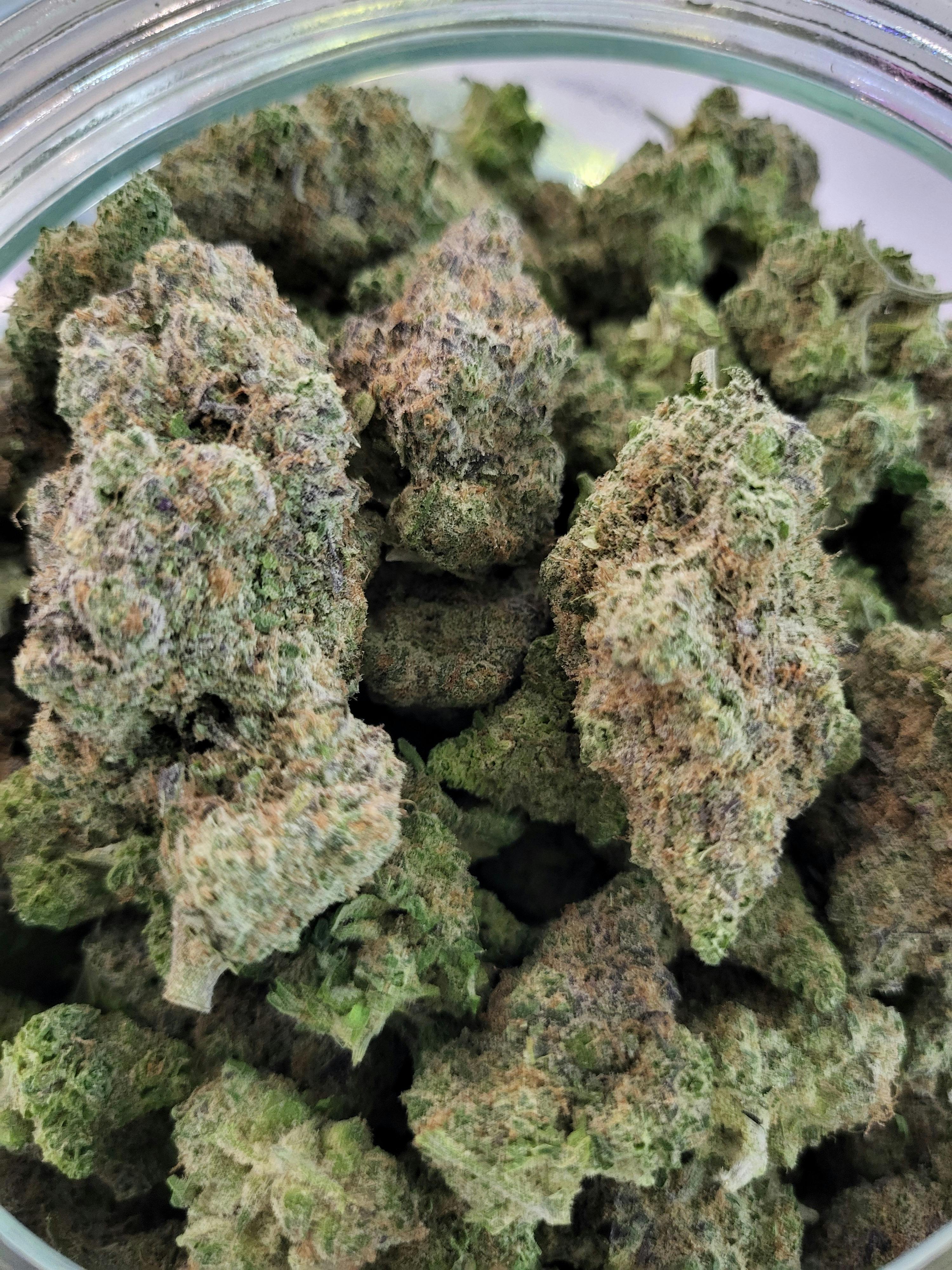 Blueberry Muffin