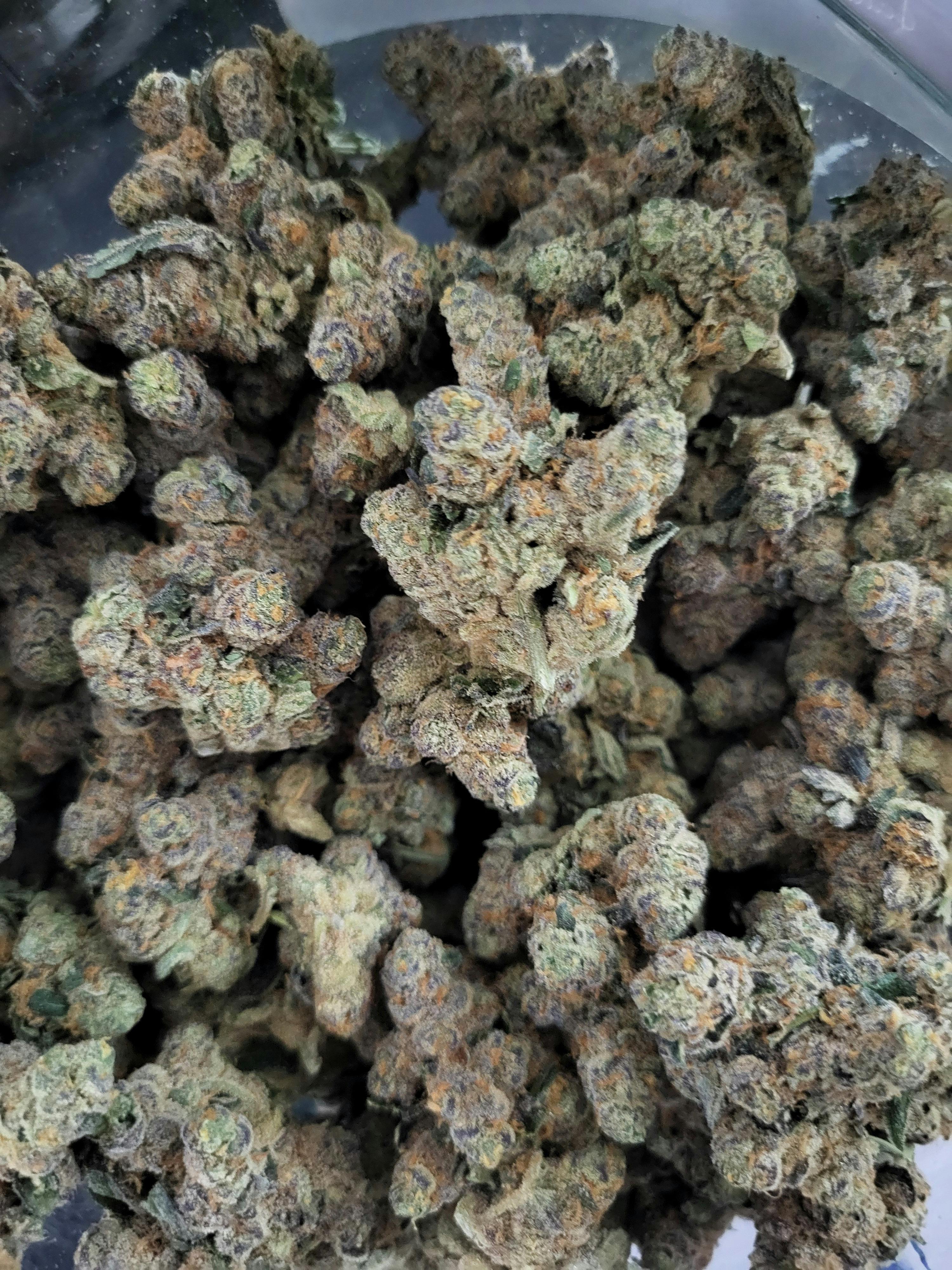 Gastro Pop | Big Buds | 1g by One Garden