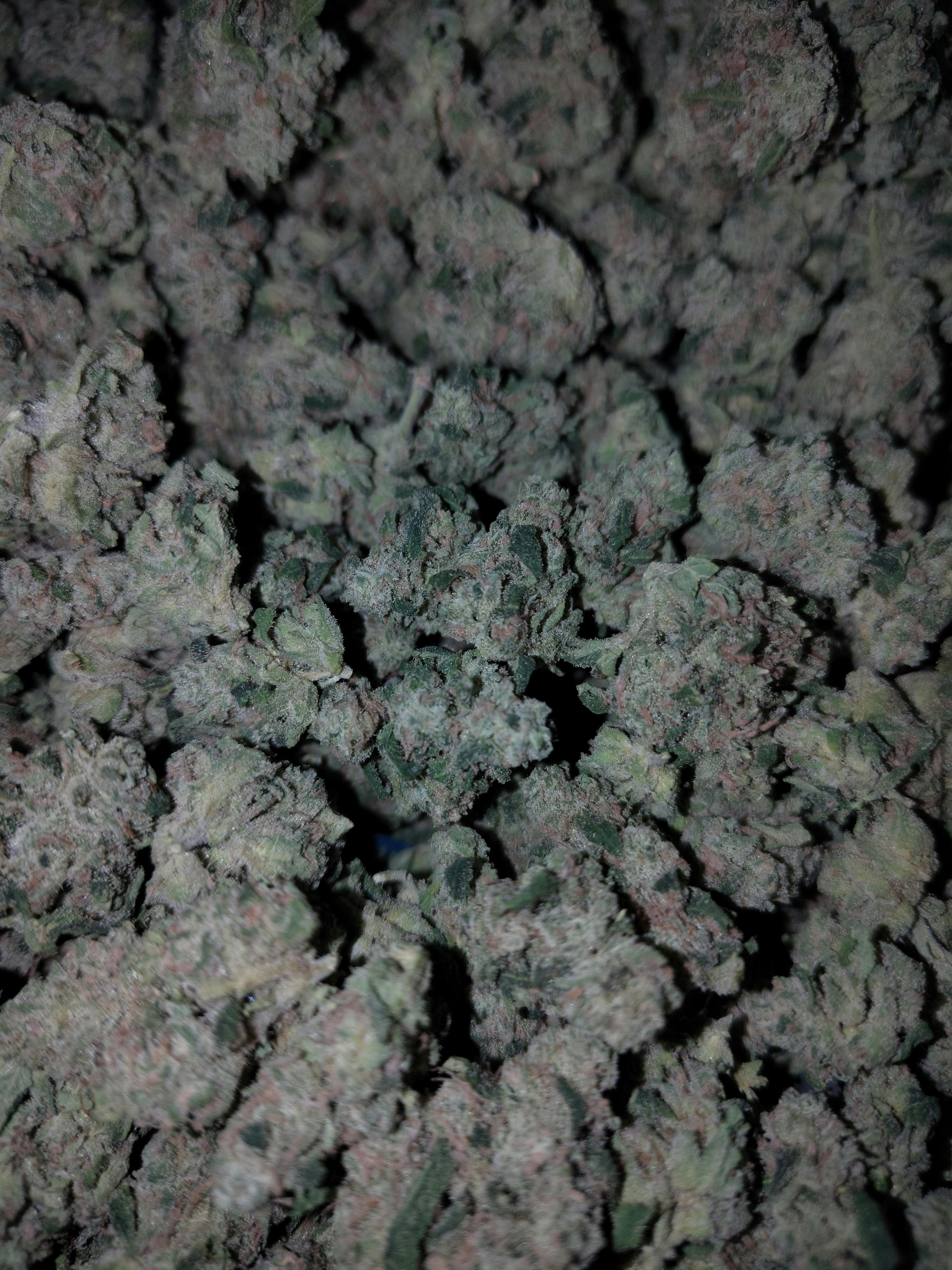 Blue Dream