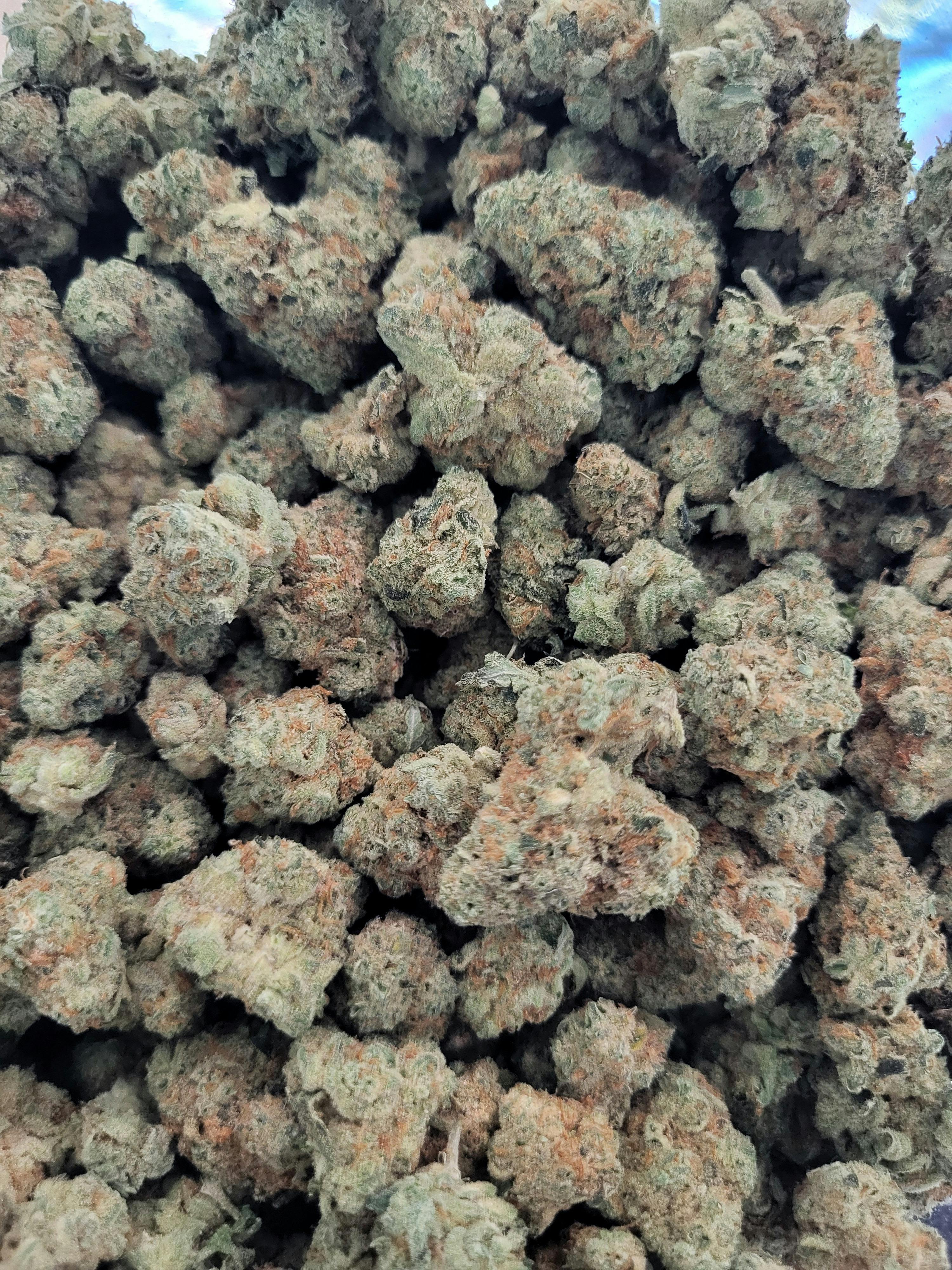 Pineapple Express | Big Buds | 1g by One Garden