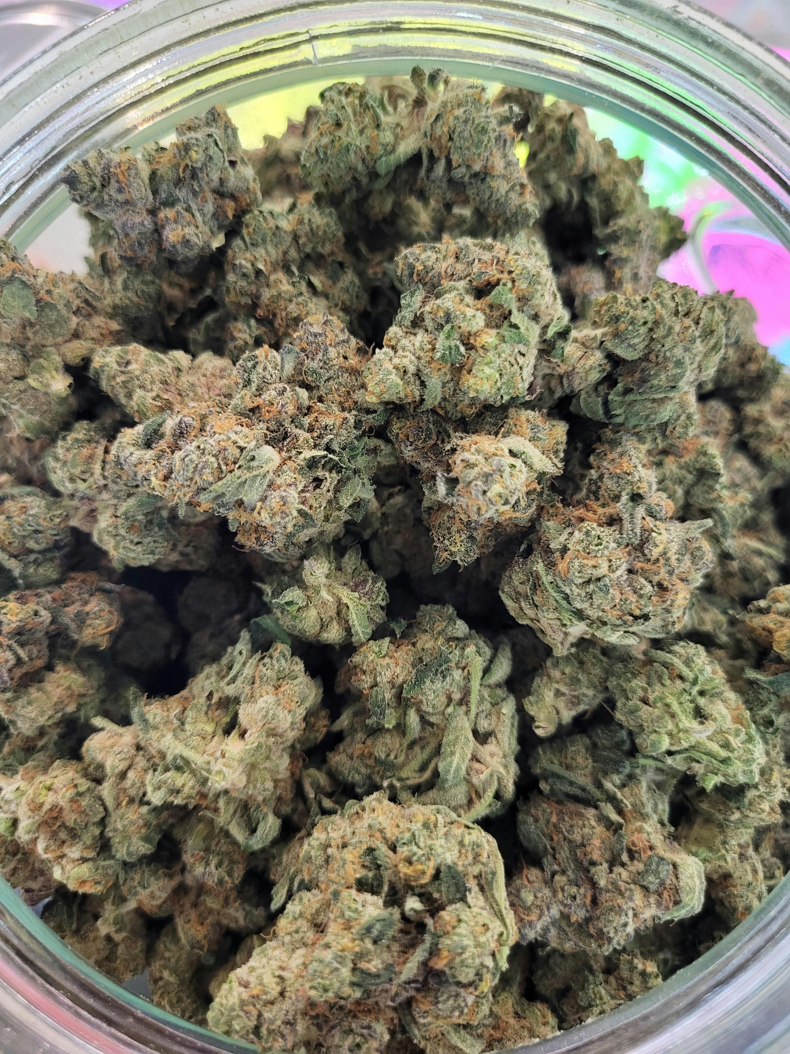 Apple Fritter | Buds | 28g