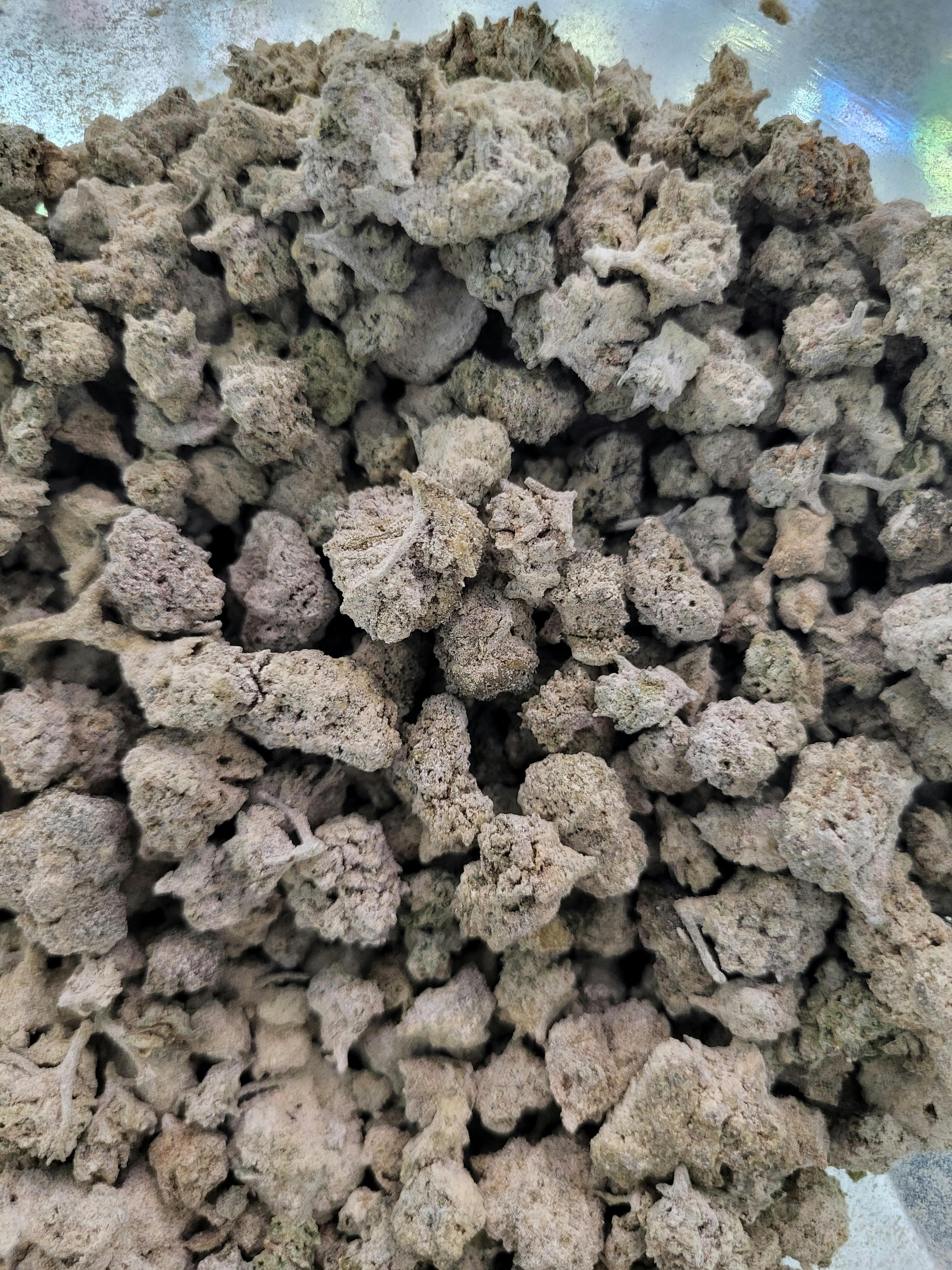 snow cap | Infused Flower | 14g by HUFF