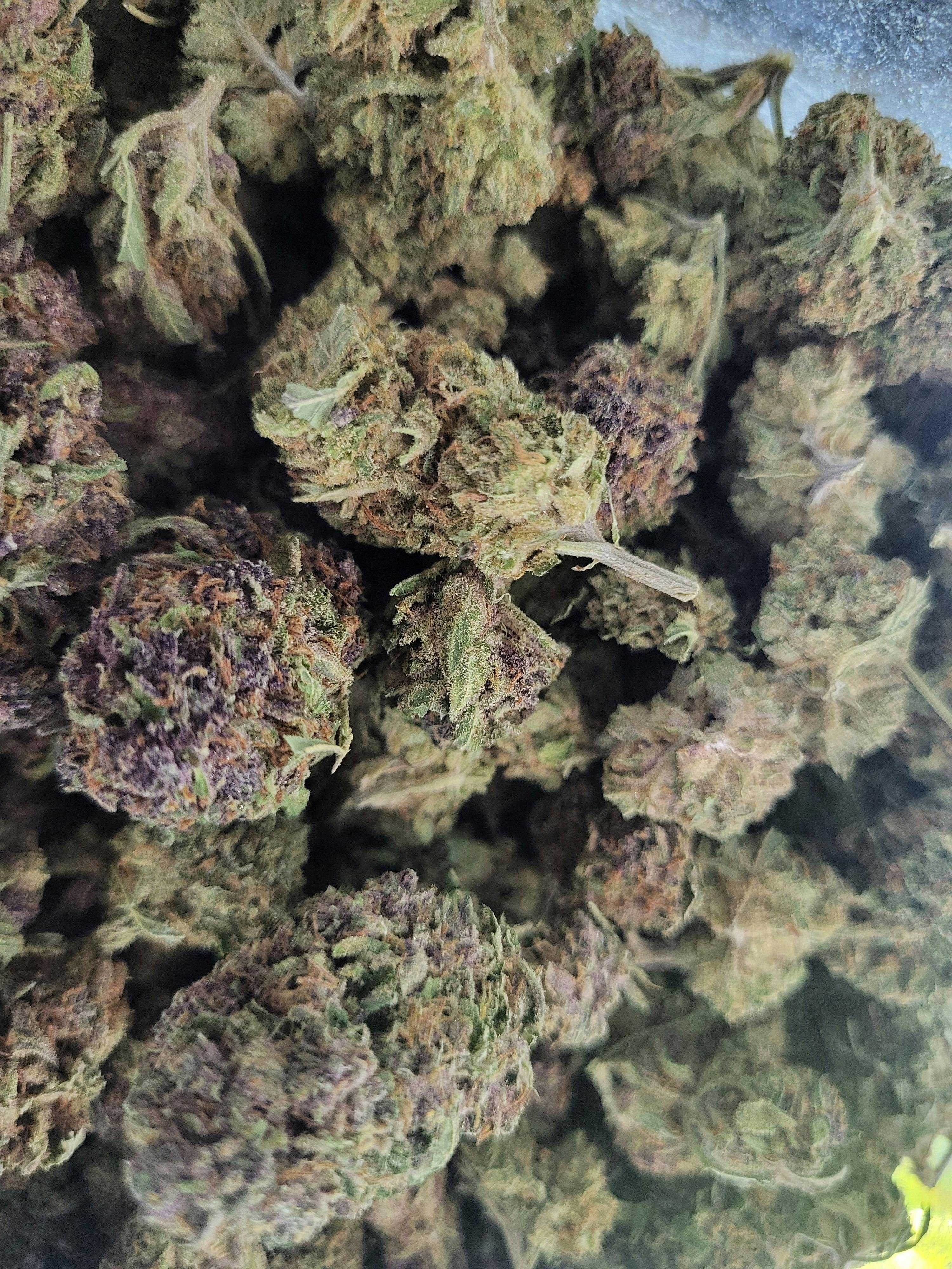 G45 x Trop Cherry **2 for $50**