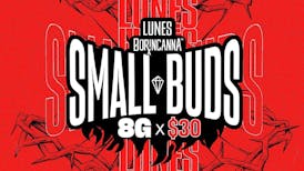 Small Buds 8g x $30