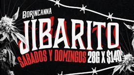 Jibarito Flor 28g x $140