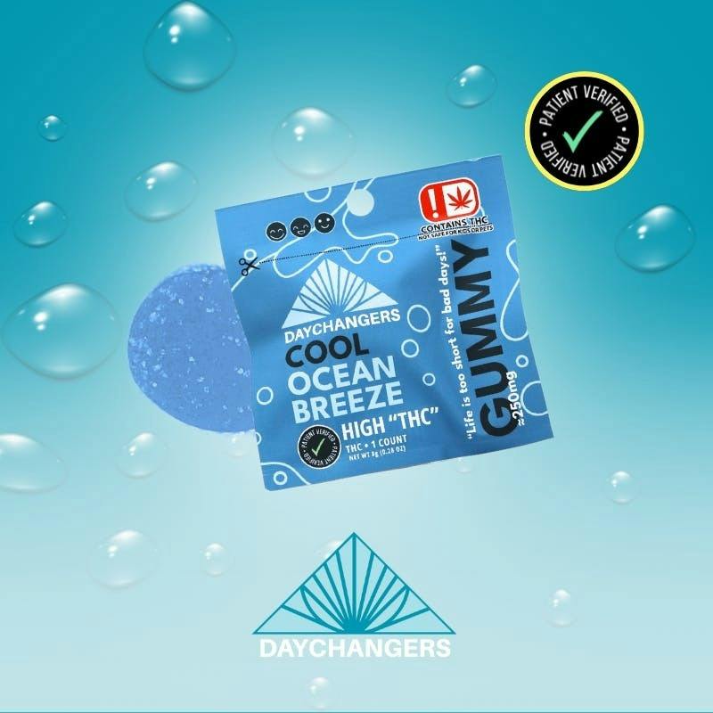 Day Changer | Ocean Breeze Single Gummy | 250mg by Day Changers