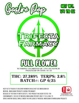 Pre Pack - Gastro Pop - 7G