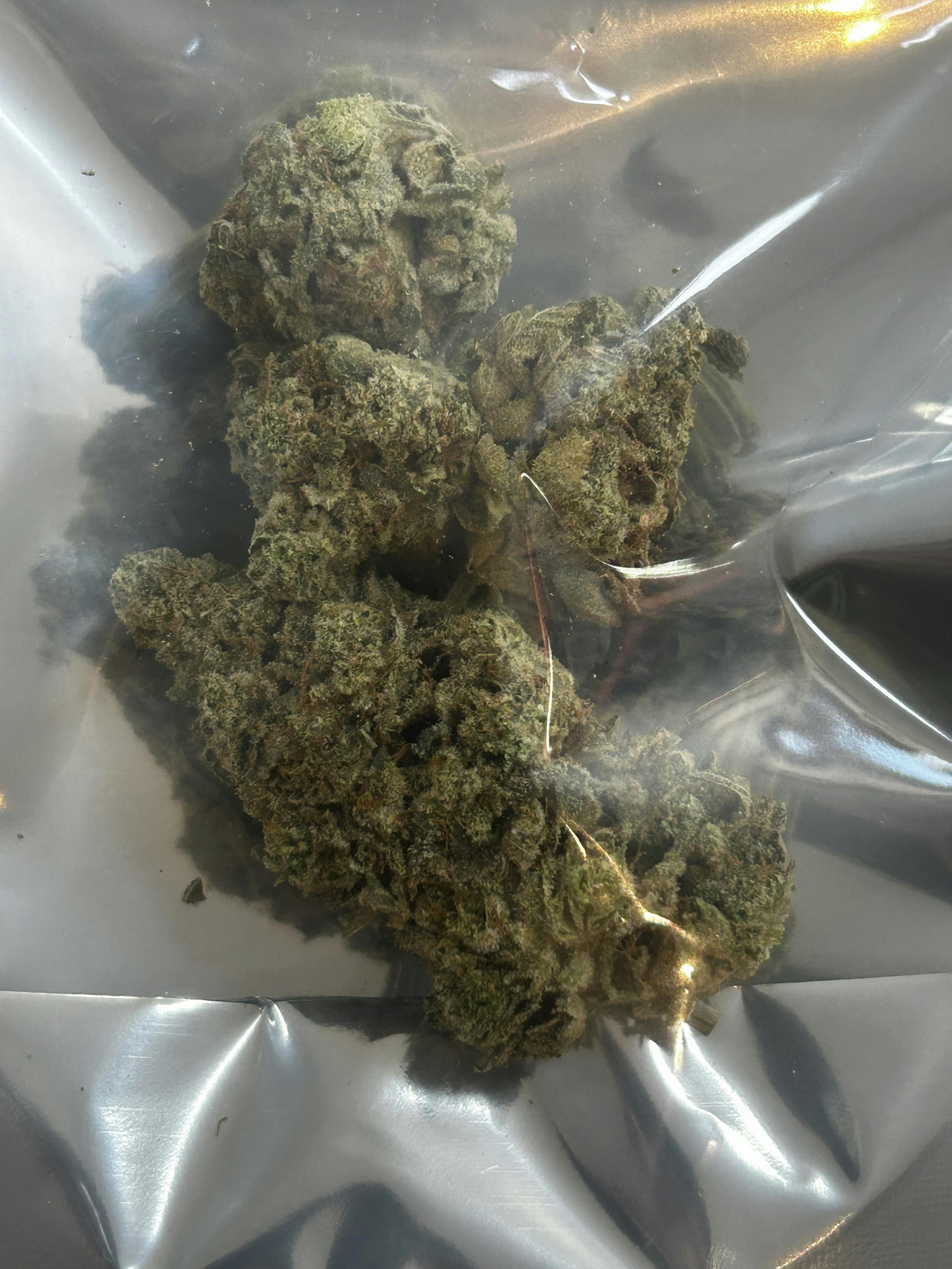 GG4 - 1/8