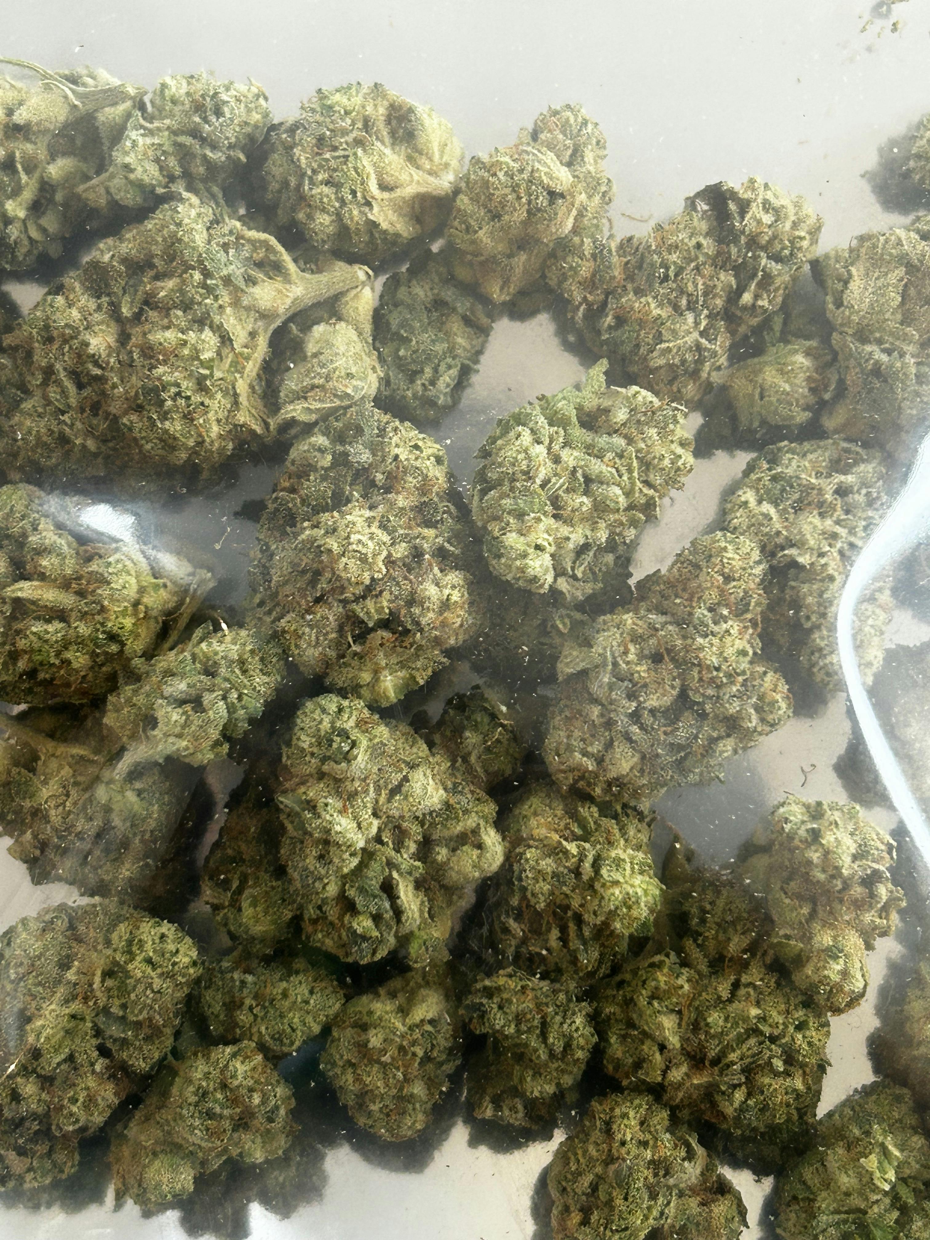 GG4 - 1/2