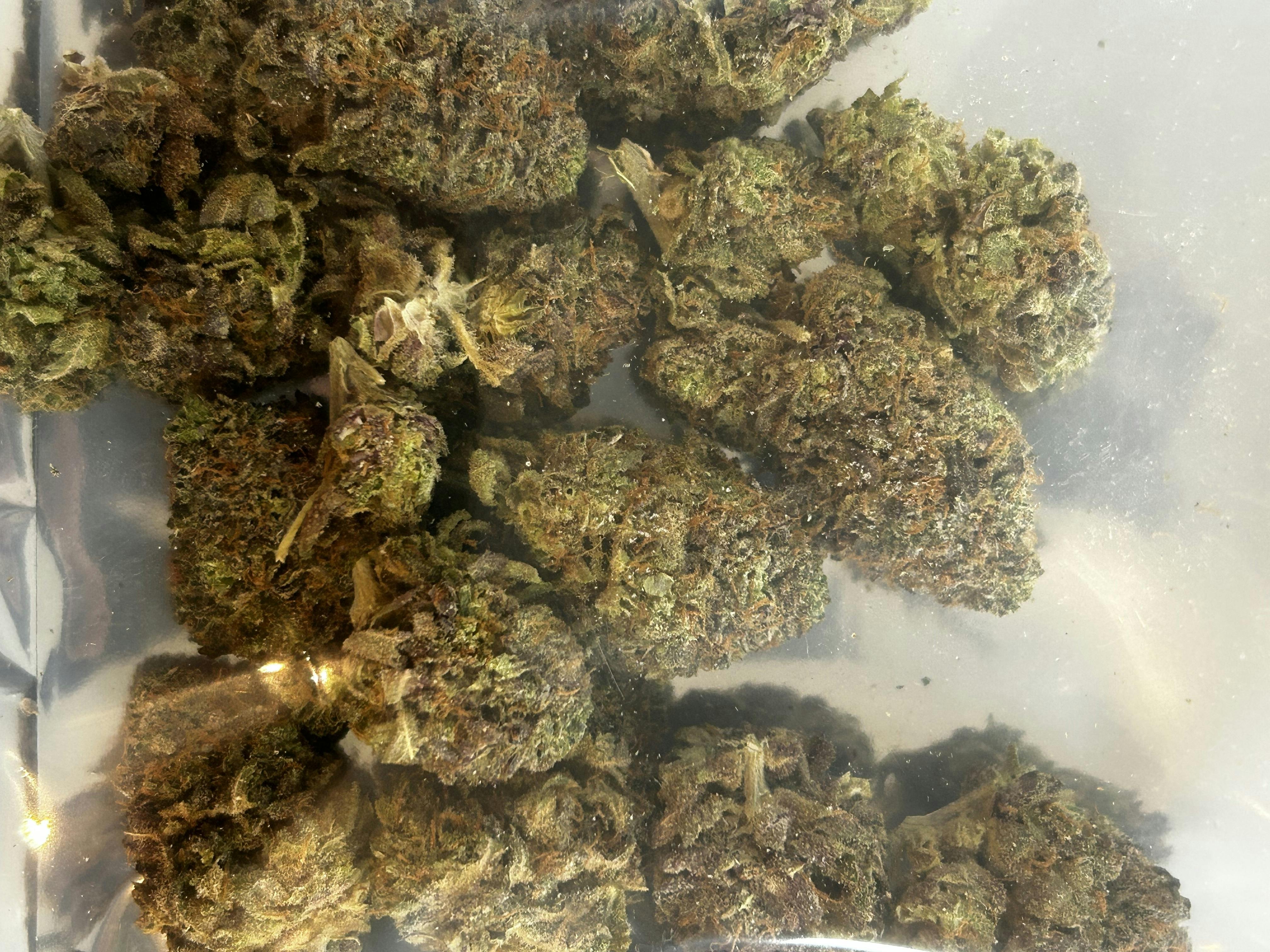 Bananaconda - 1/2
