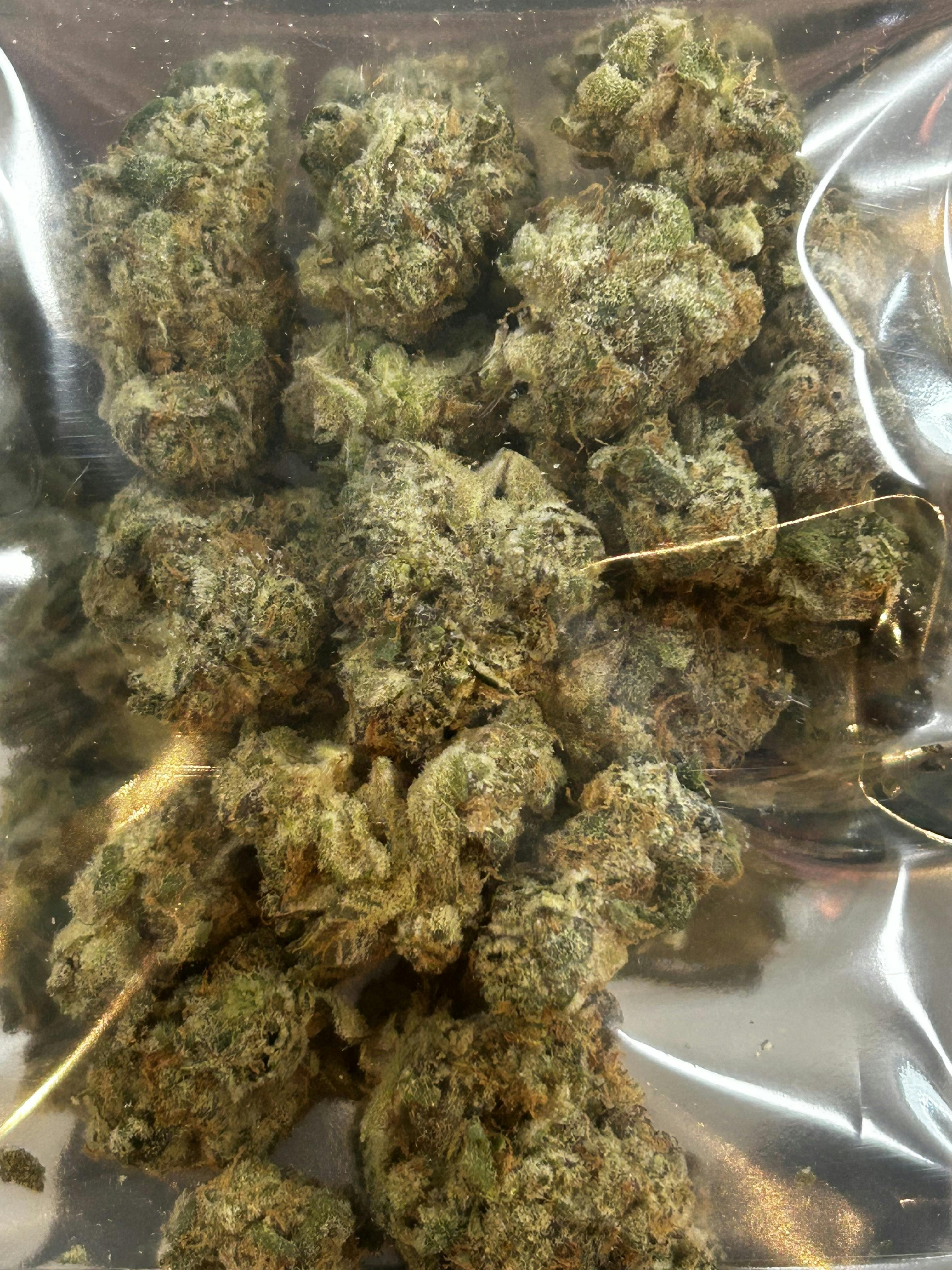 Daily Grape 1/4