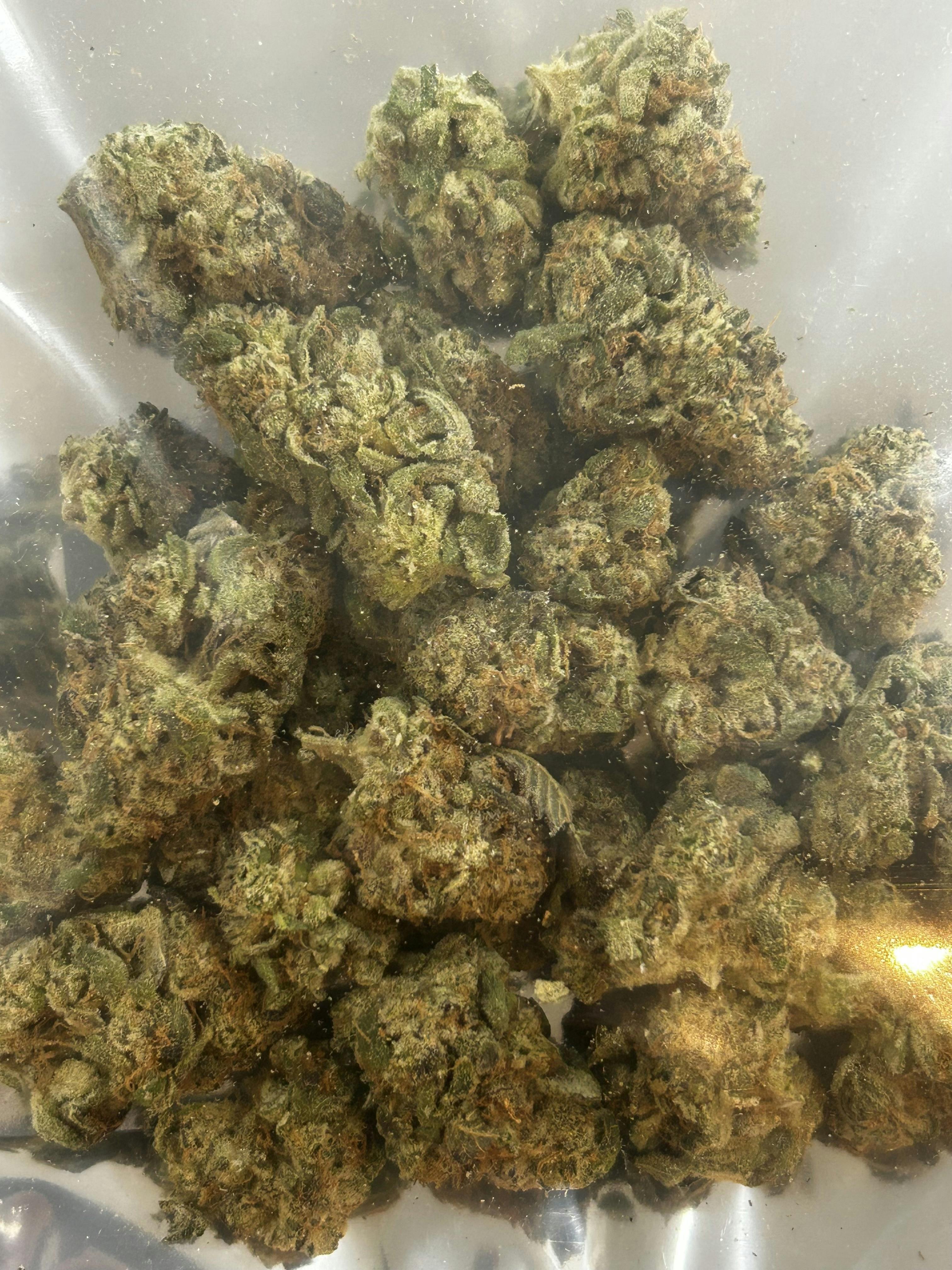 Daily Grape - 1/2
