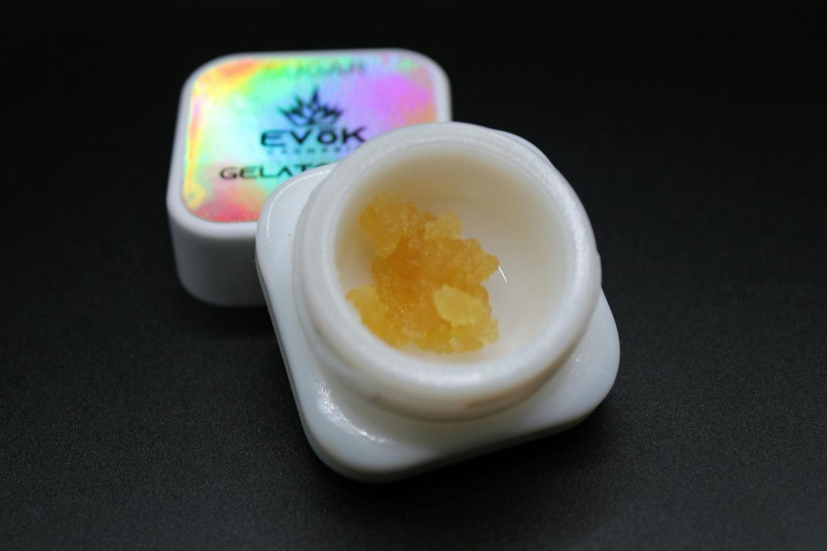 Evok - Gelato Trix - 1G Sugar Concentrate (7G/$86.20) at The Jungle House