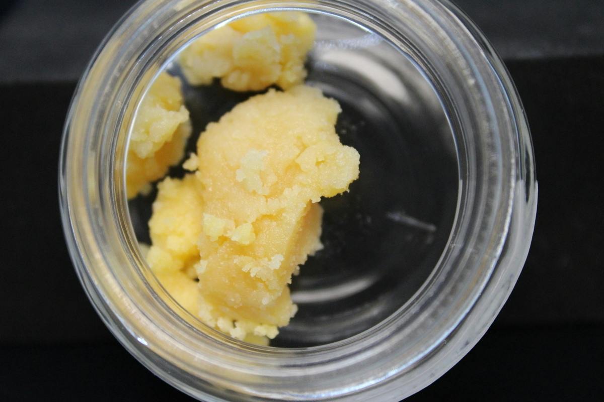 Terp Talk - Purple Gelato - 7G Baller Jar