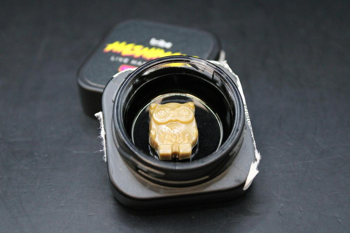 Tribe | Guava | Owl Hashimals | 1g by Tribe