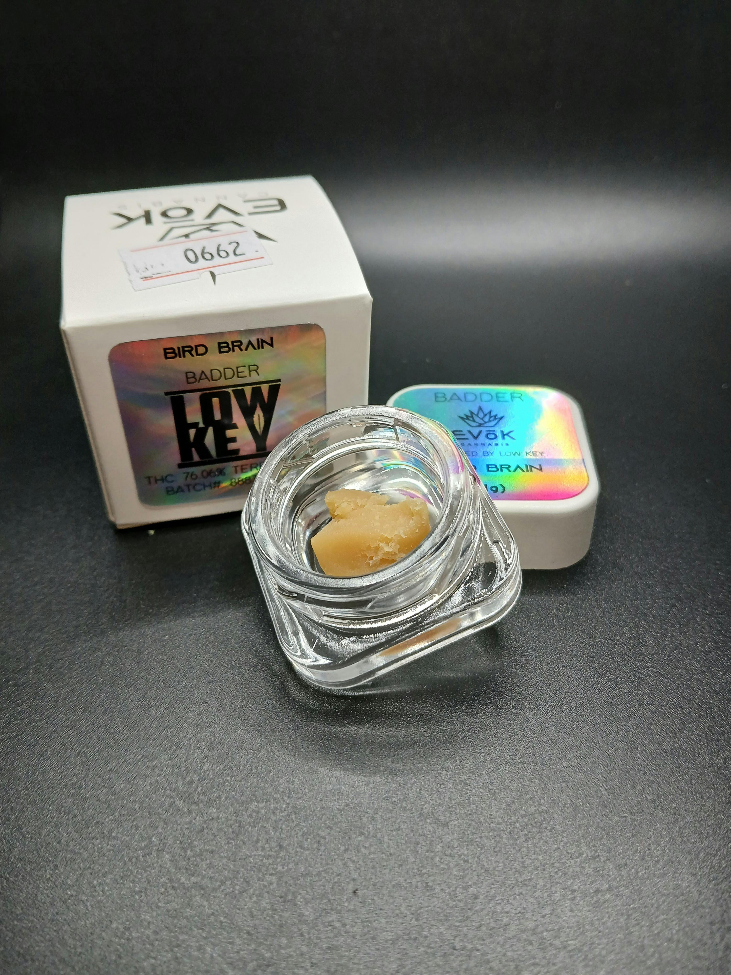 Evok - Bird Brain - 1G Badder Concentrate Jar (12G/$86.20)