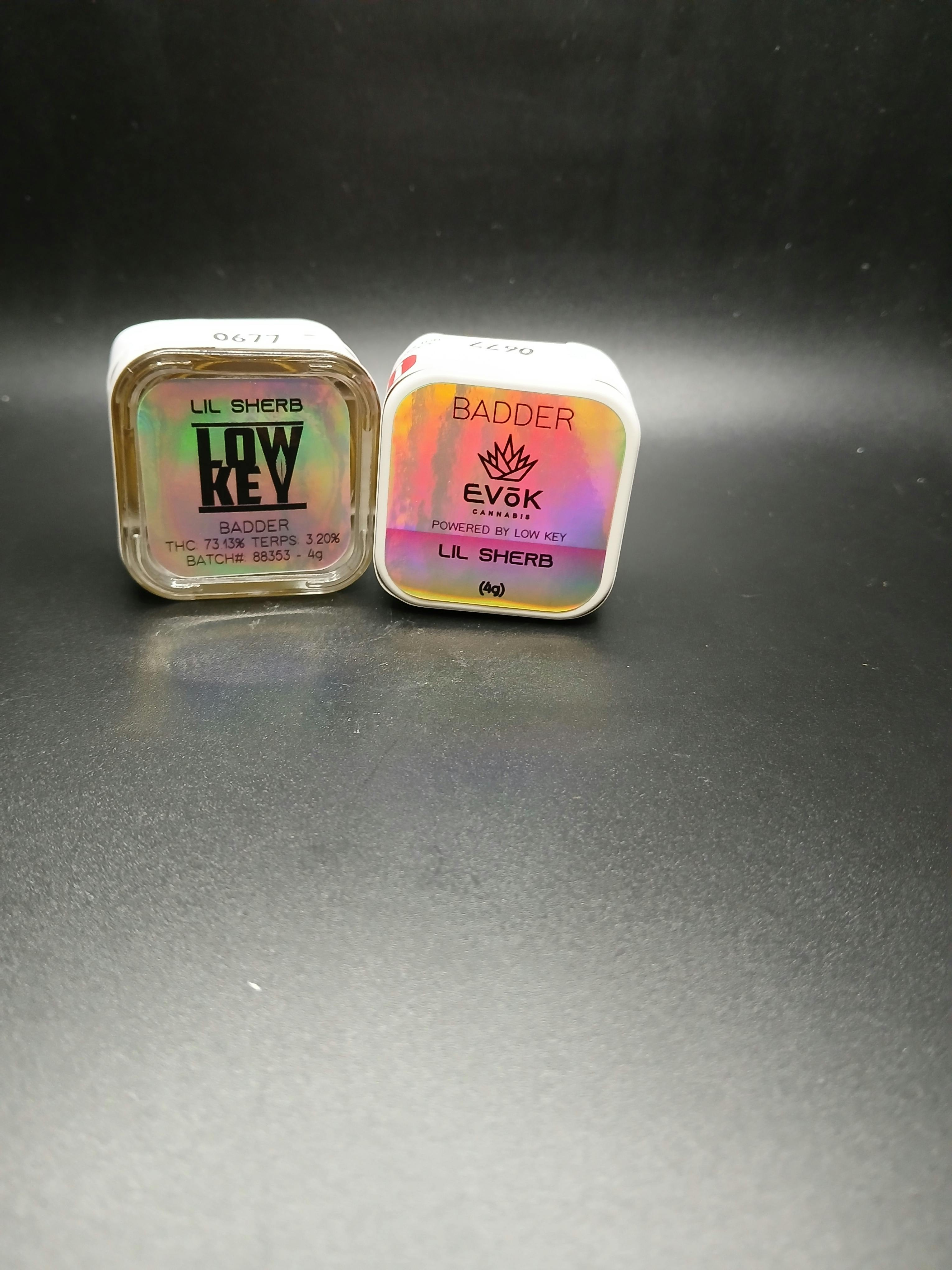 Evok - Lil Sherb - 4G Concentrate Jar
