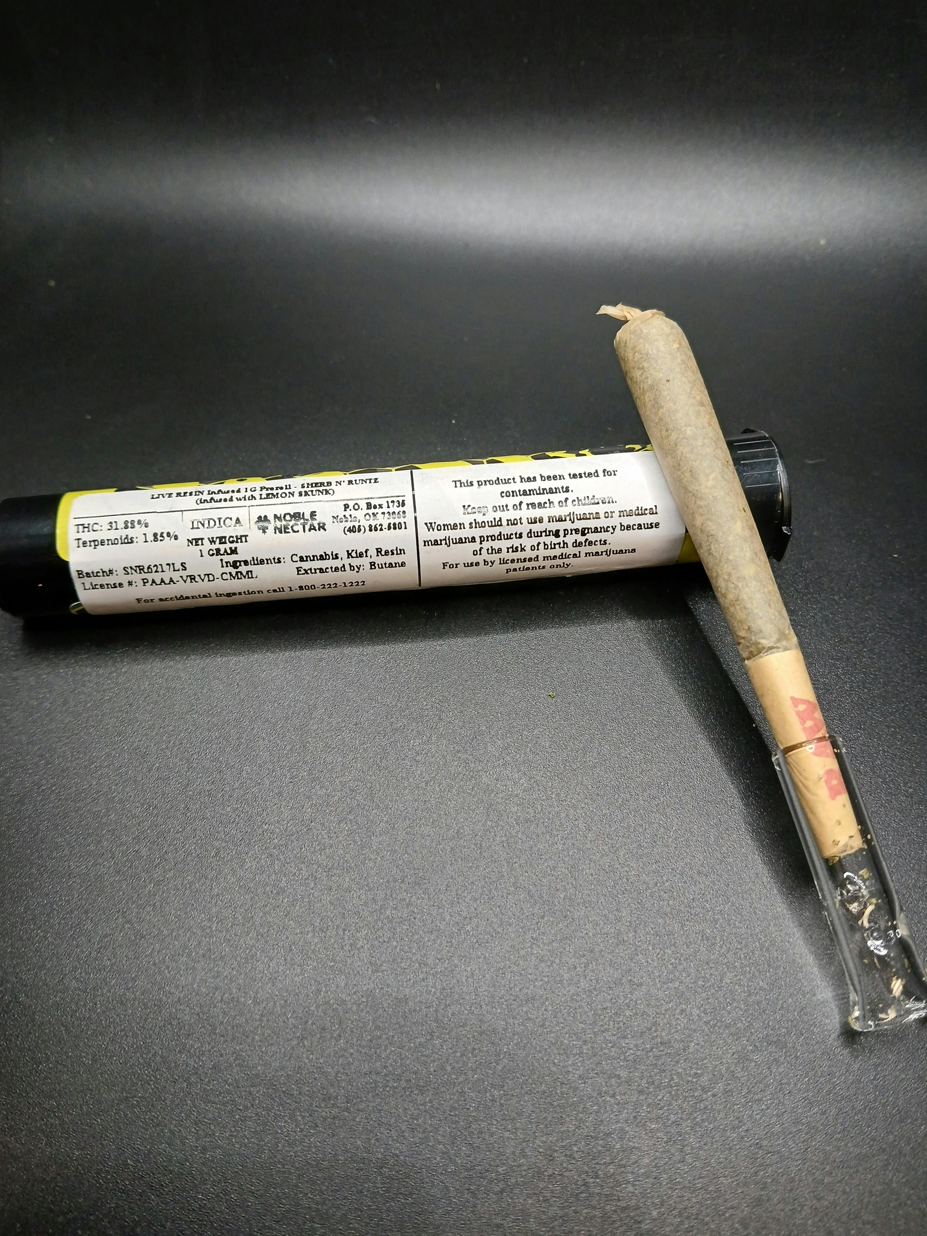 Noble Nectar - Sherb N Runtz - 1G Live Rosin Infused Pre Roll