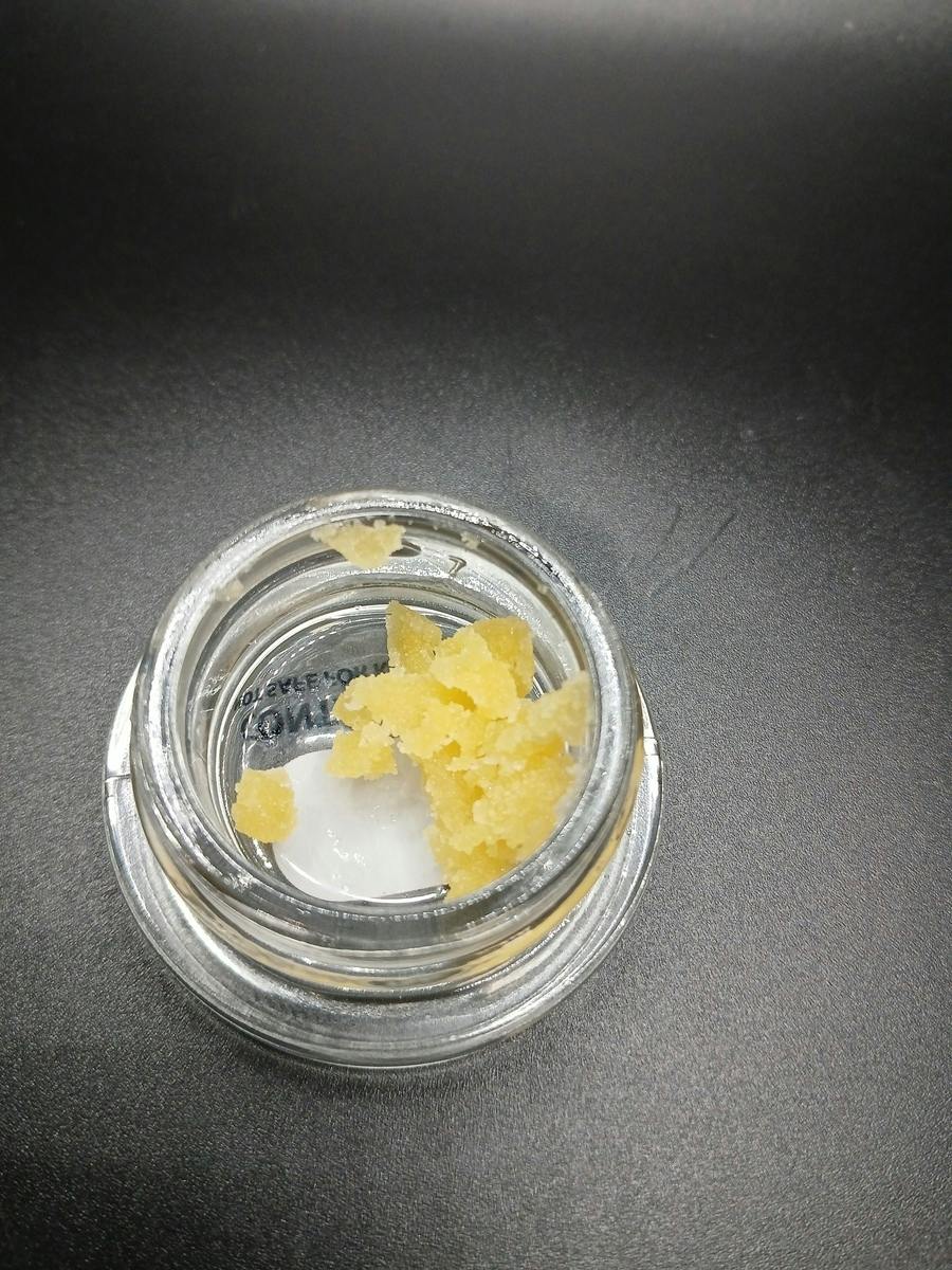 Terp Talk - Madzilla - 1G Concentrate Jar (20G/$86.20)