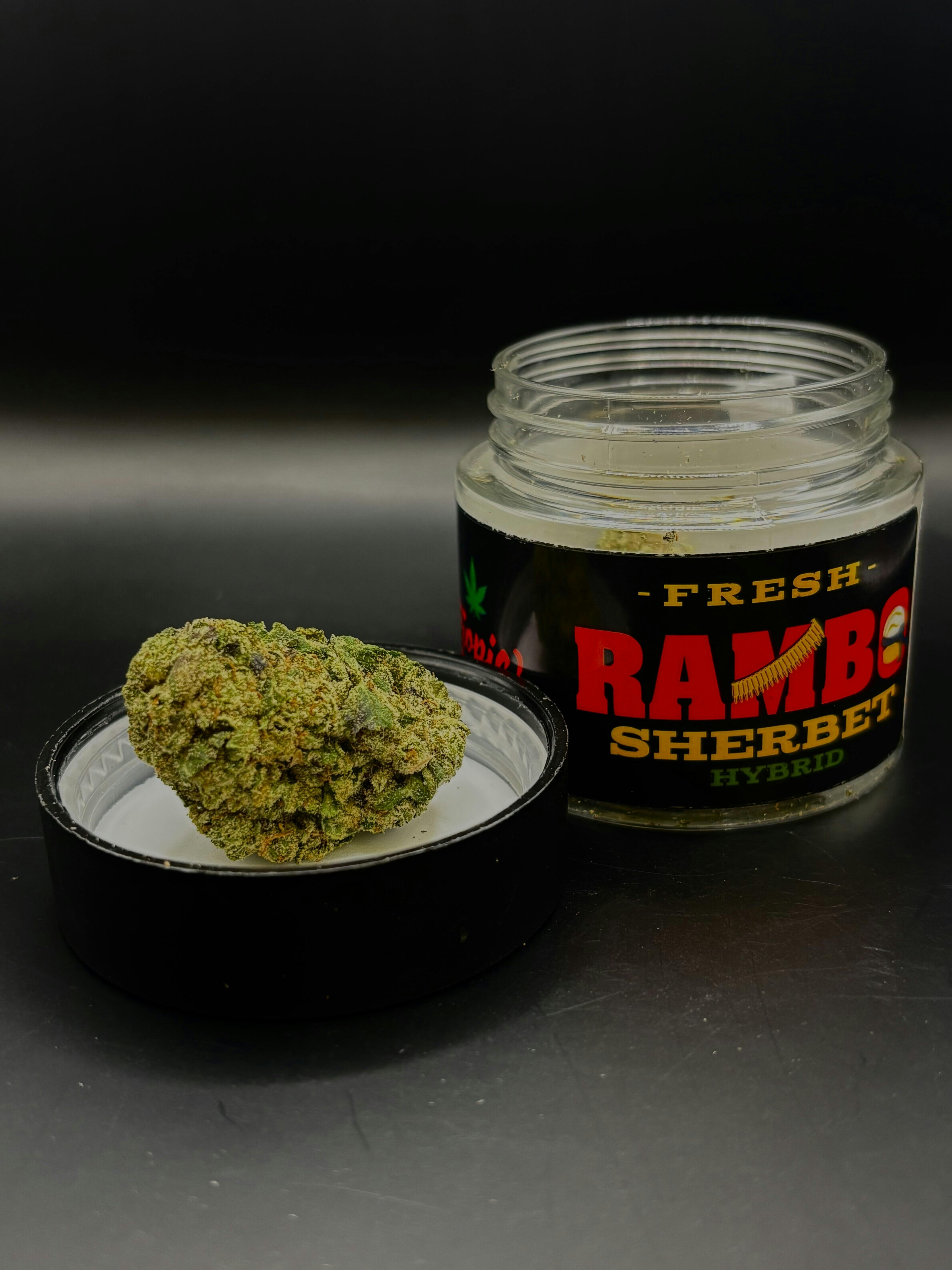Rambo Sherbet | Fresh Big Buds | 3.5g by Green Dynasty