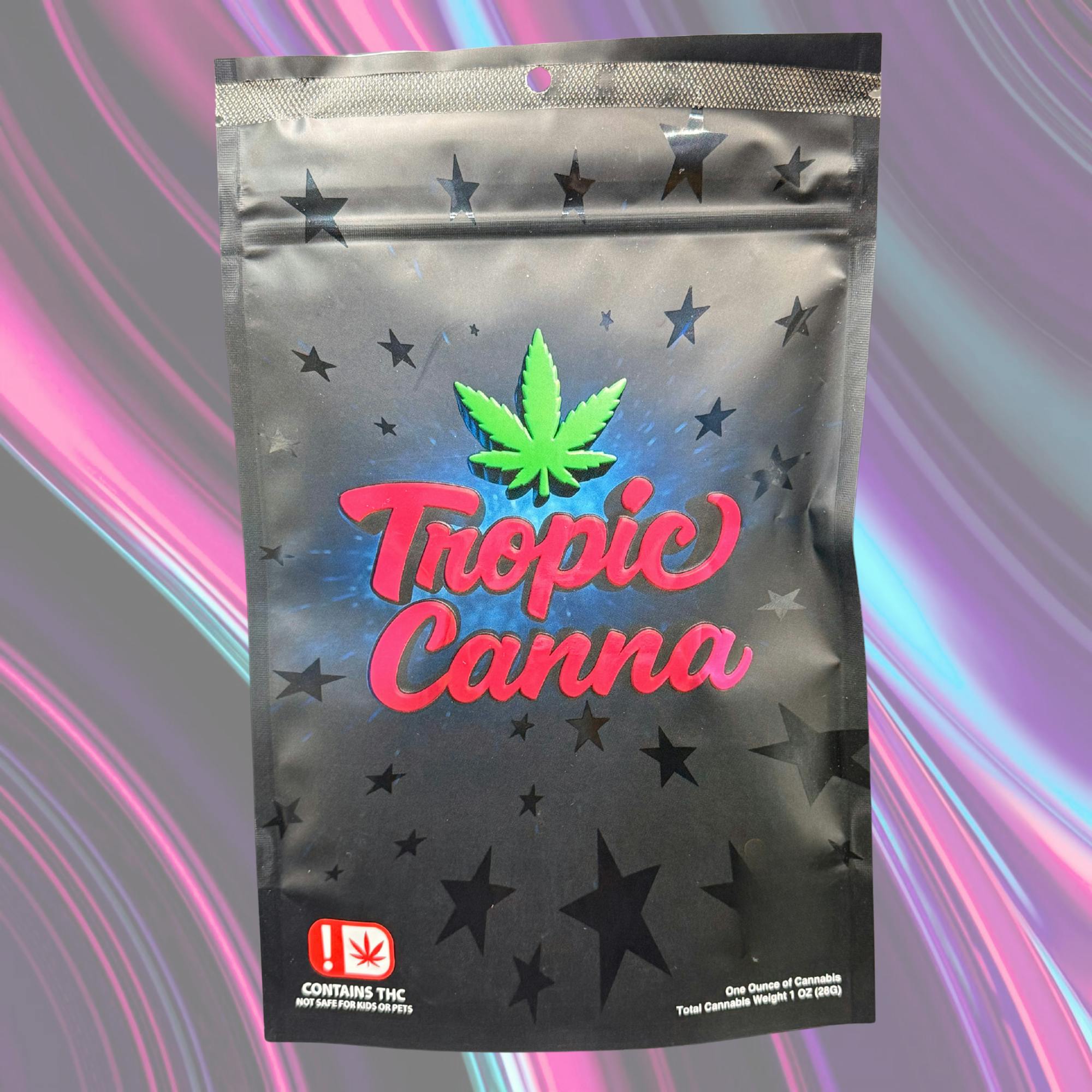 Tropic Canna - Champaya - Pre-Pack Flower