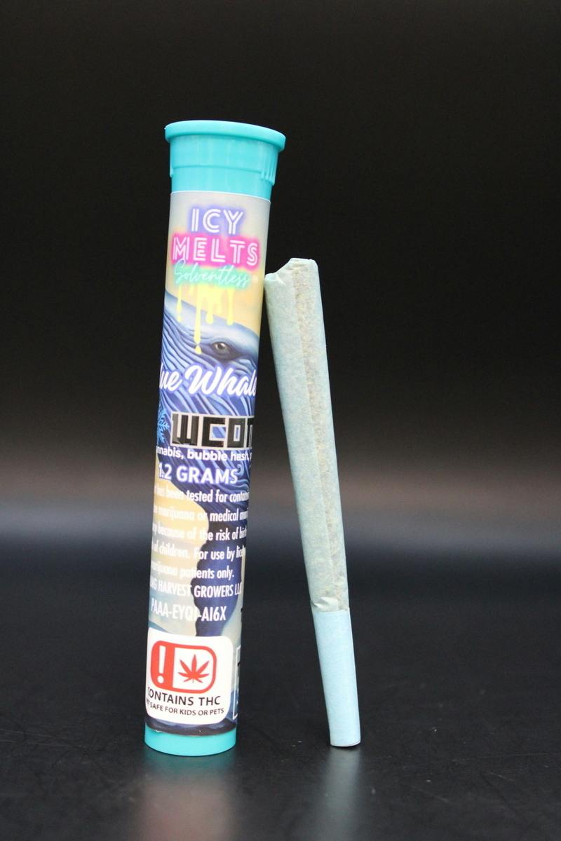 Snow Cones - Blue Whale - 1.2G Infused Pre Roll
