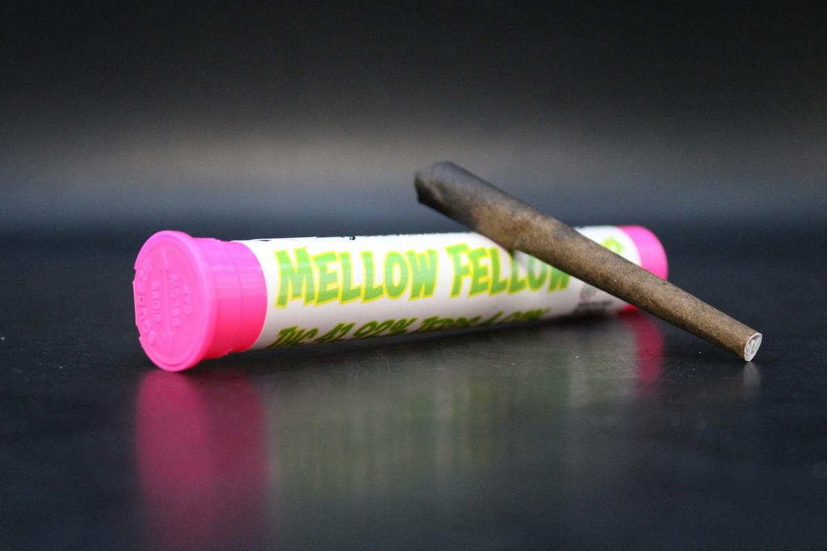 Mellow Fellow | Infused Blunt | 1.5g