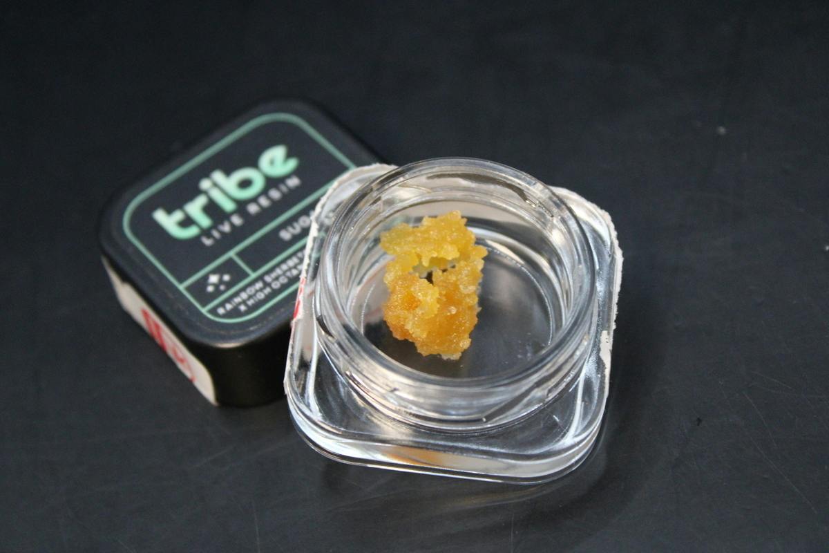Tribe | Rainbow Sherbert #11 x H.O. | Live Sugar | 1g by Tribe