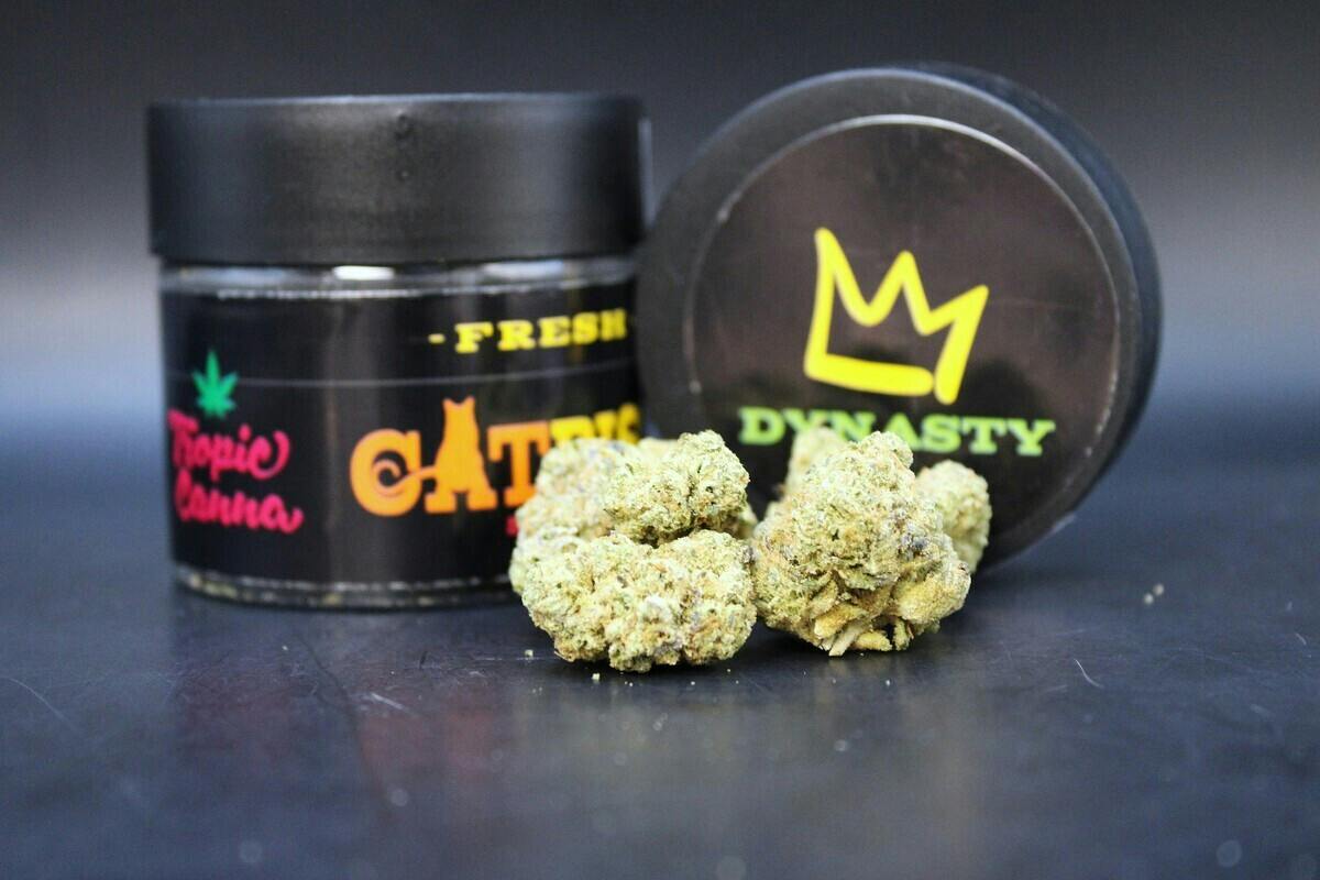 Catpiss | Value Big Buds | 3.5g by Green Dynasty