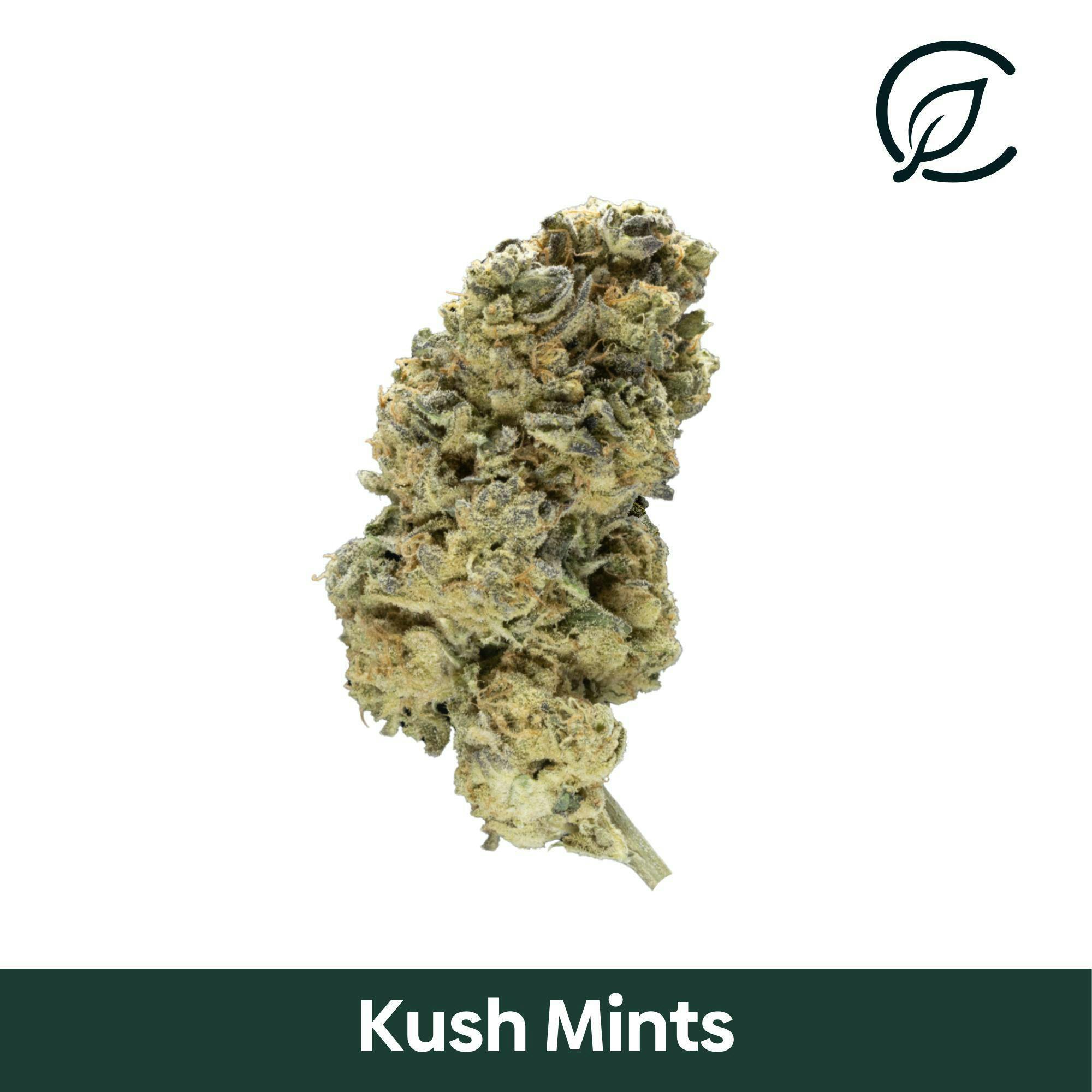 Kush Mints | Big Buds | 3.5g by Curaleaf