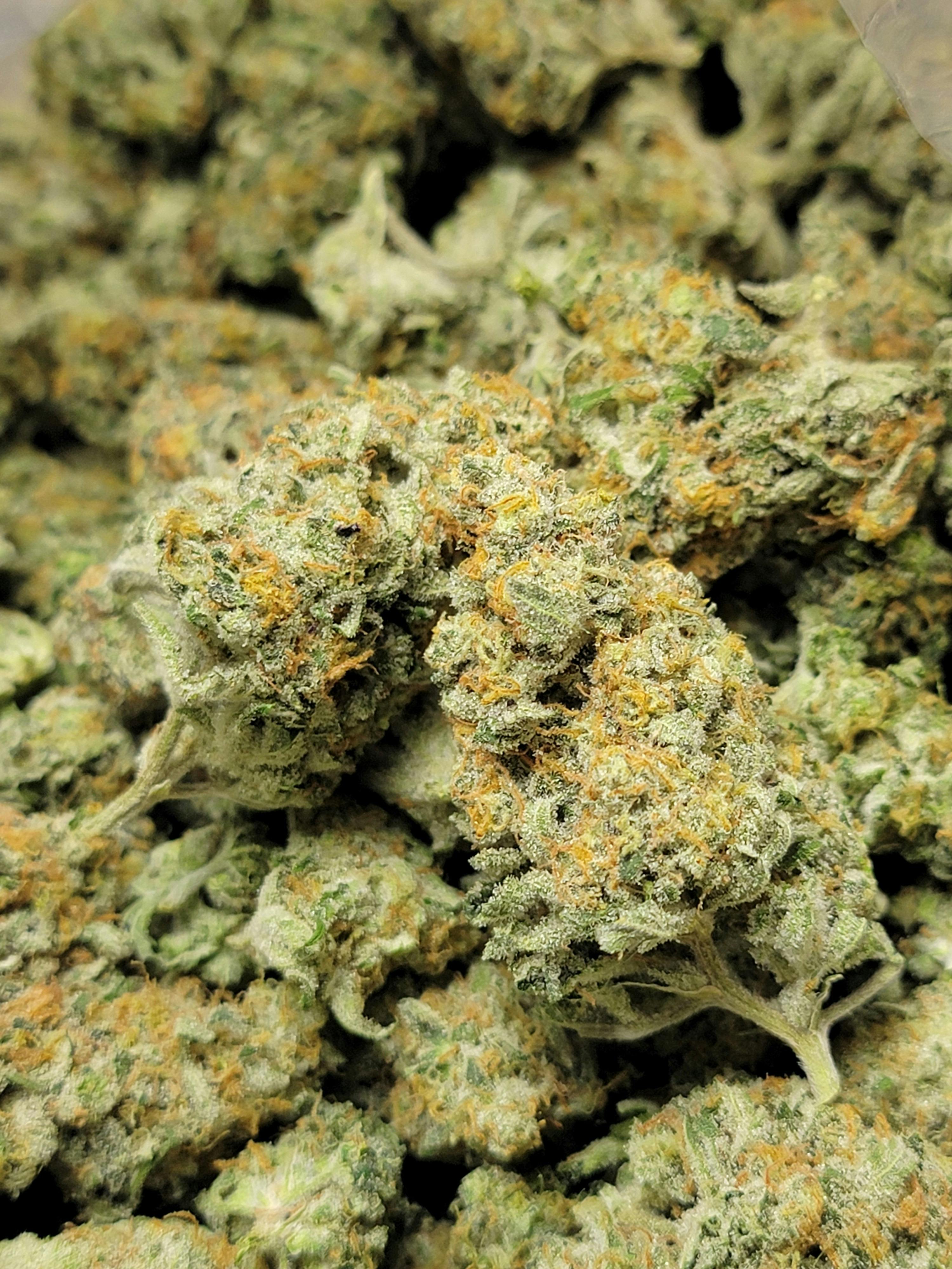 Afghan Trainwreck