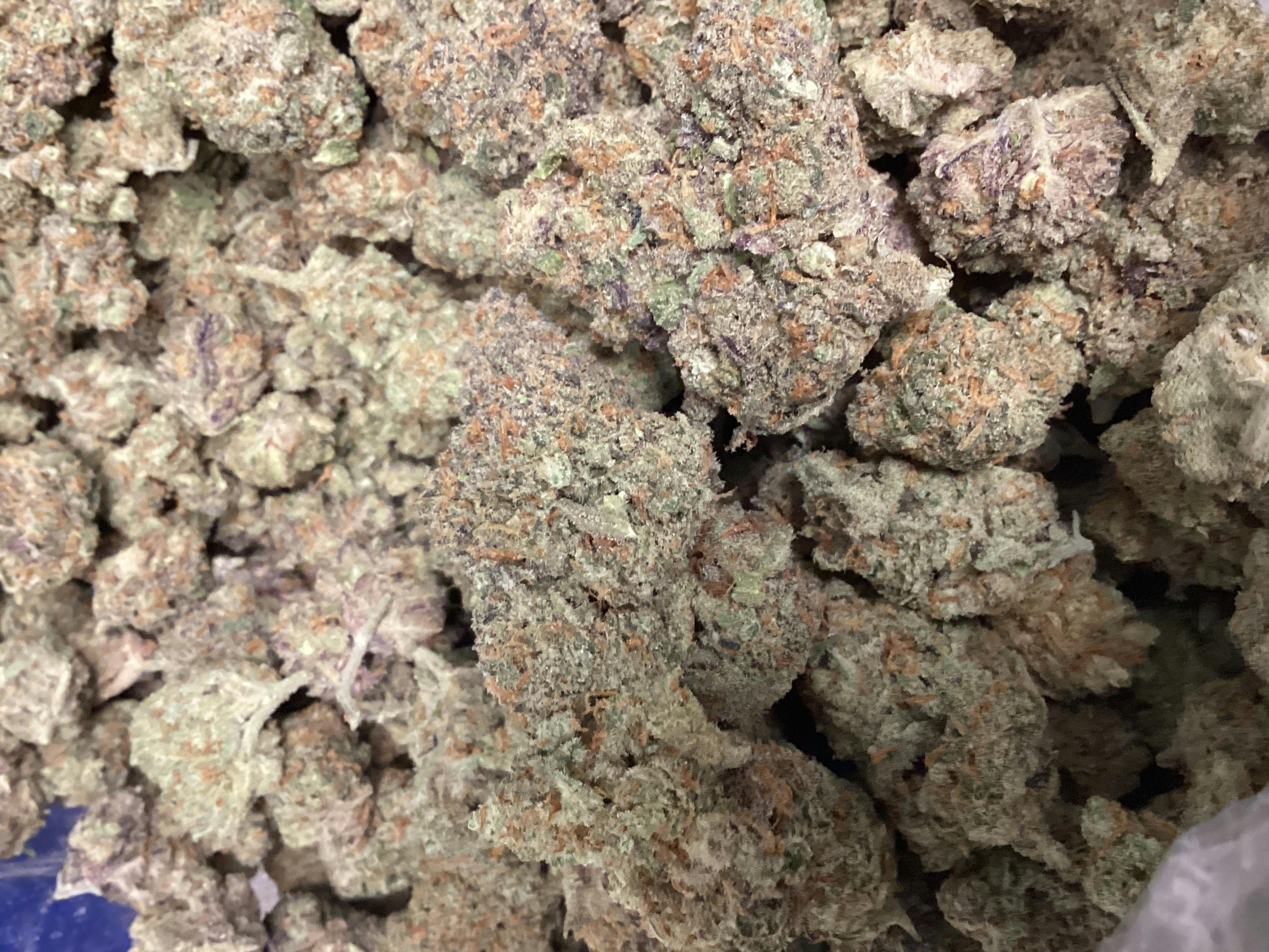 Dream Queen (Sativa)