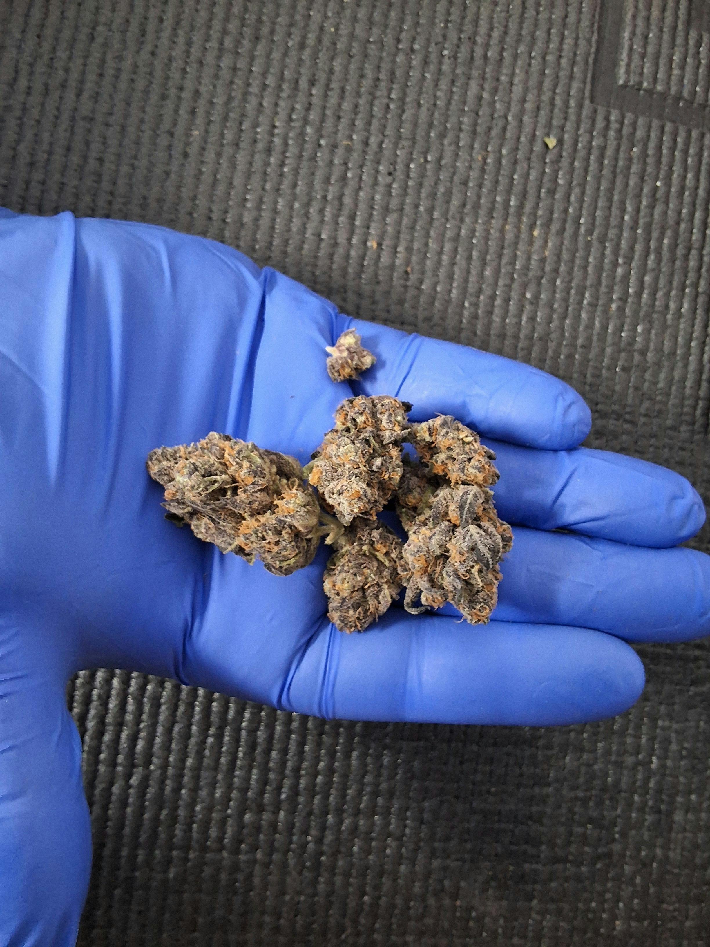nv this | Big Buds | 3.5g