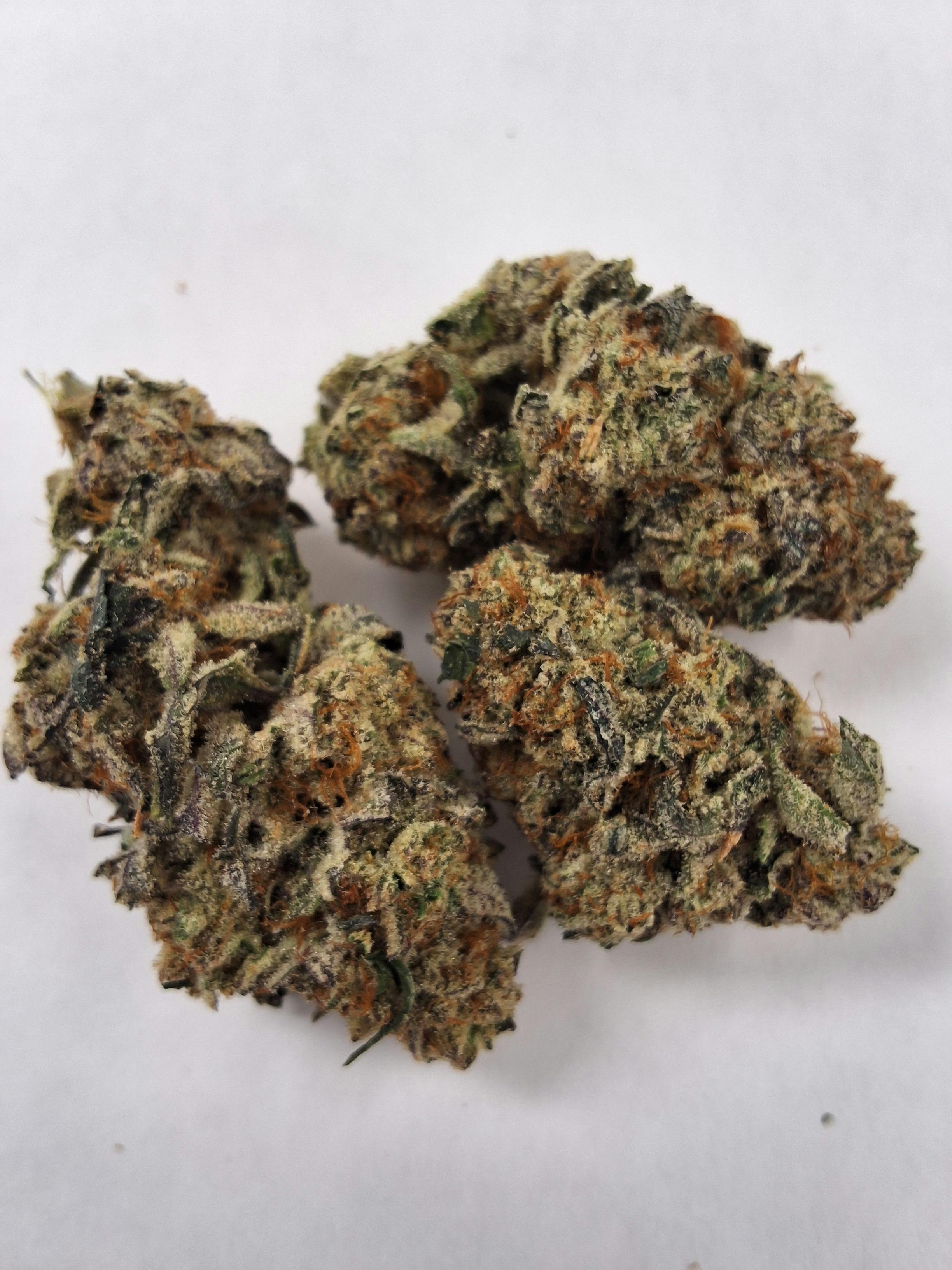 Mango maxx